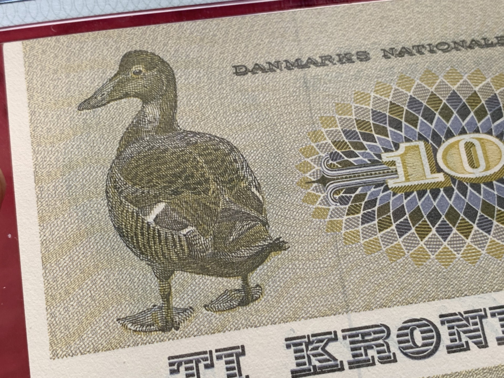 《竞宝斋》第128场-周日，周一 ，2场连拍（全场包邮） PMG EPQ66  丹麦1972 10克朗   经典丑小鸭  纸币保存不易 评级很贵  高分好品相