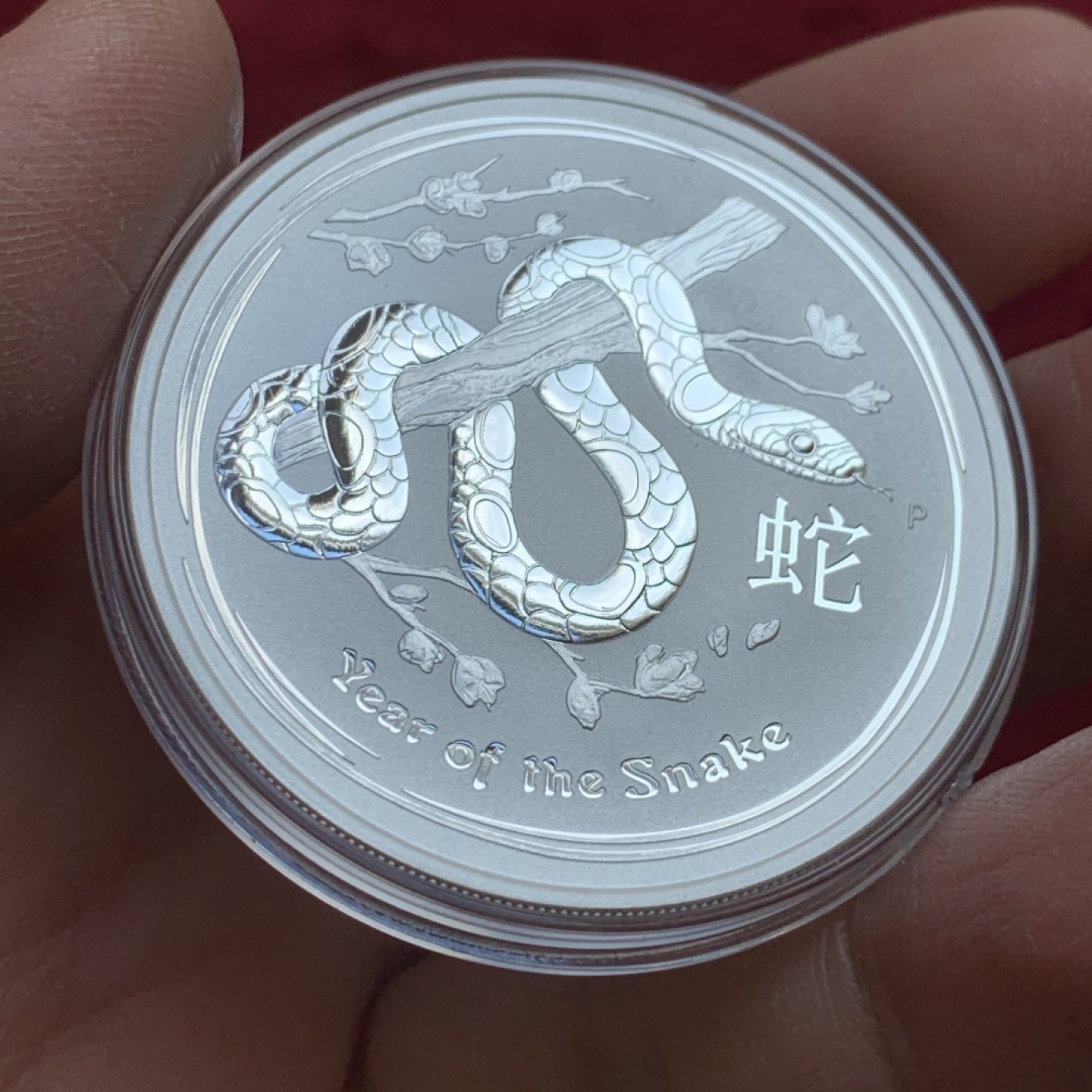 《竞宝斋》第128场-周日，周一 ，2场连拍（全场包邮） 澳大利亚 2013年 蛇年银币3枚一组 1枚5盎司，1枚1盎司，1枚1/2盎司 总6.5盎司202.15克 999银 少见品种