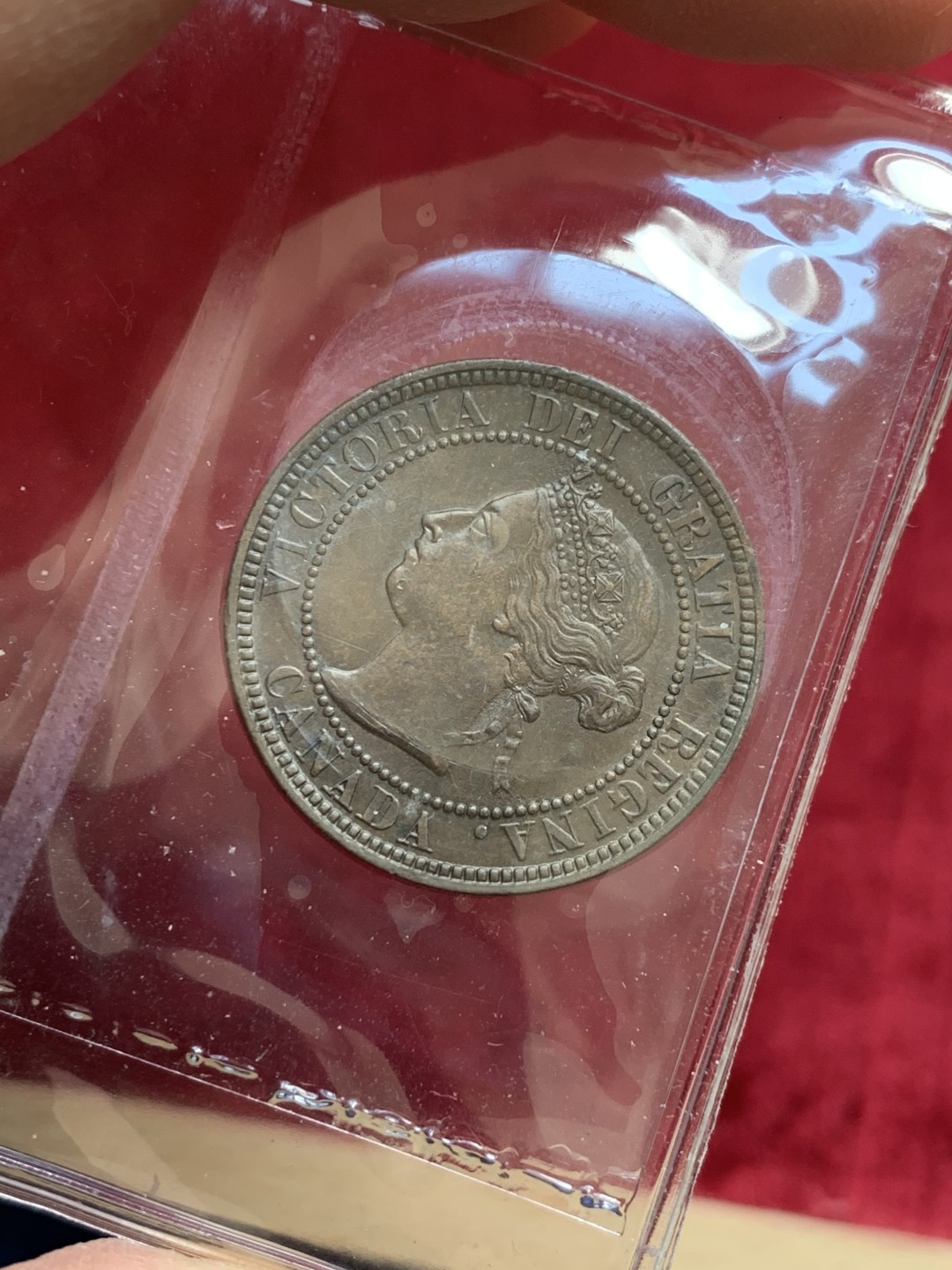 《竞宝斋》第128场-周日，周一 ，2场连拍（全场包邮） 英国本土评级iccs ms60 加拿大1900 1分 评级造型简约  币状态很好