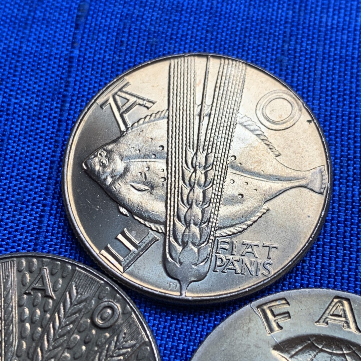 《竞宝斋》第128场-周日，周一 ，2场连拍（全场包邮） 波兰  1971  FAO纪念币三枚 含两枚样币