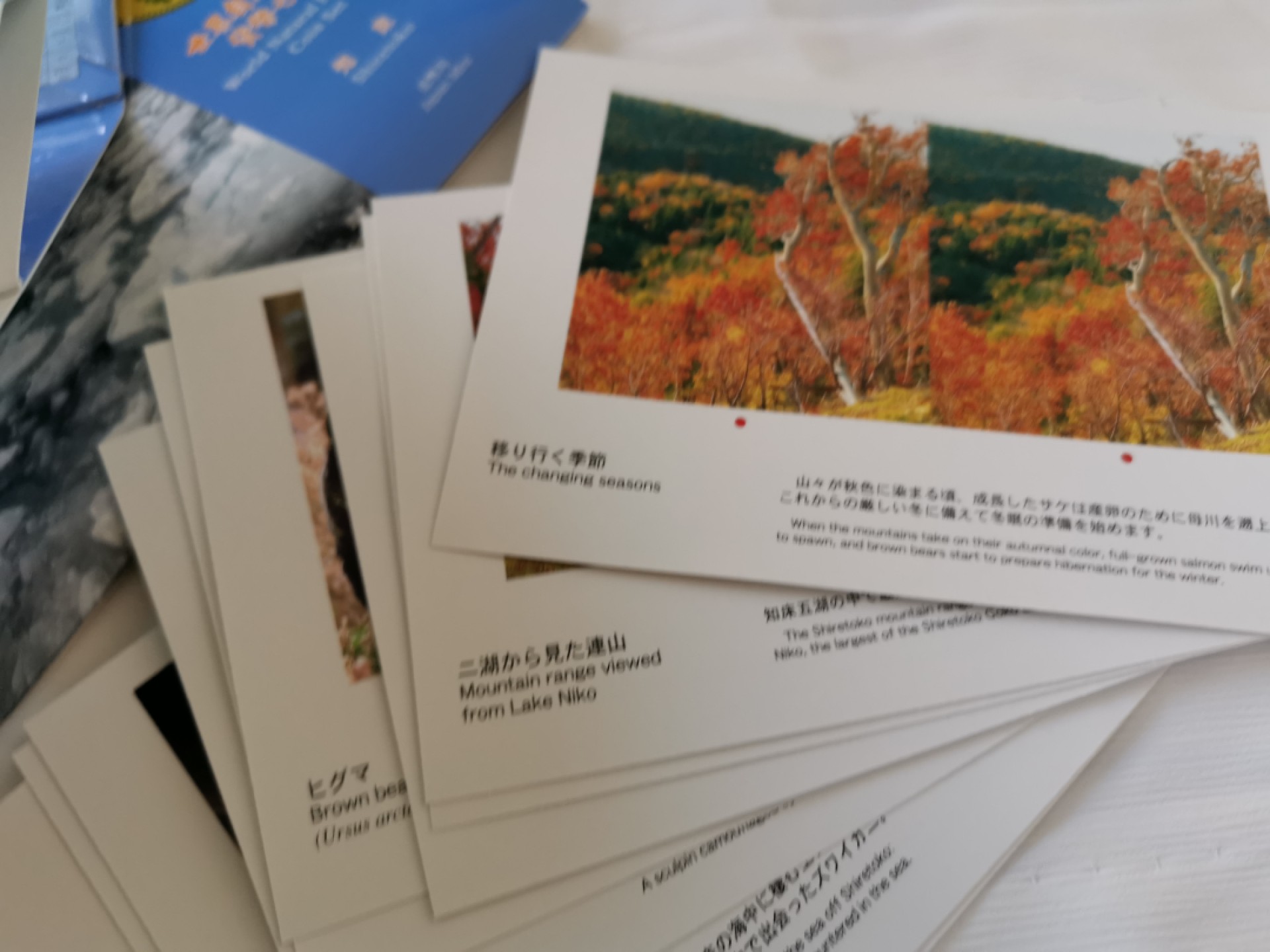 捡漏零元起+1 小岛日本纪念币专场 第二拍  日本世界文化遗产系列纪念币 知床 日本套币