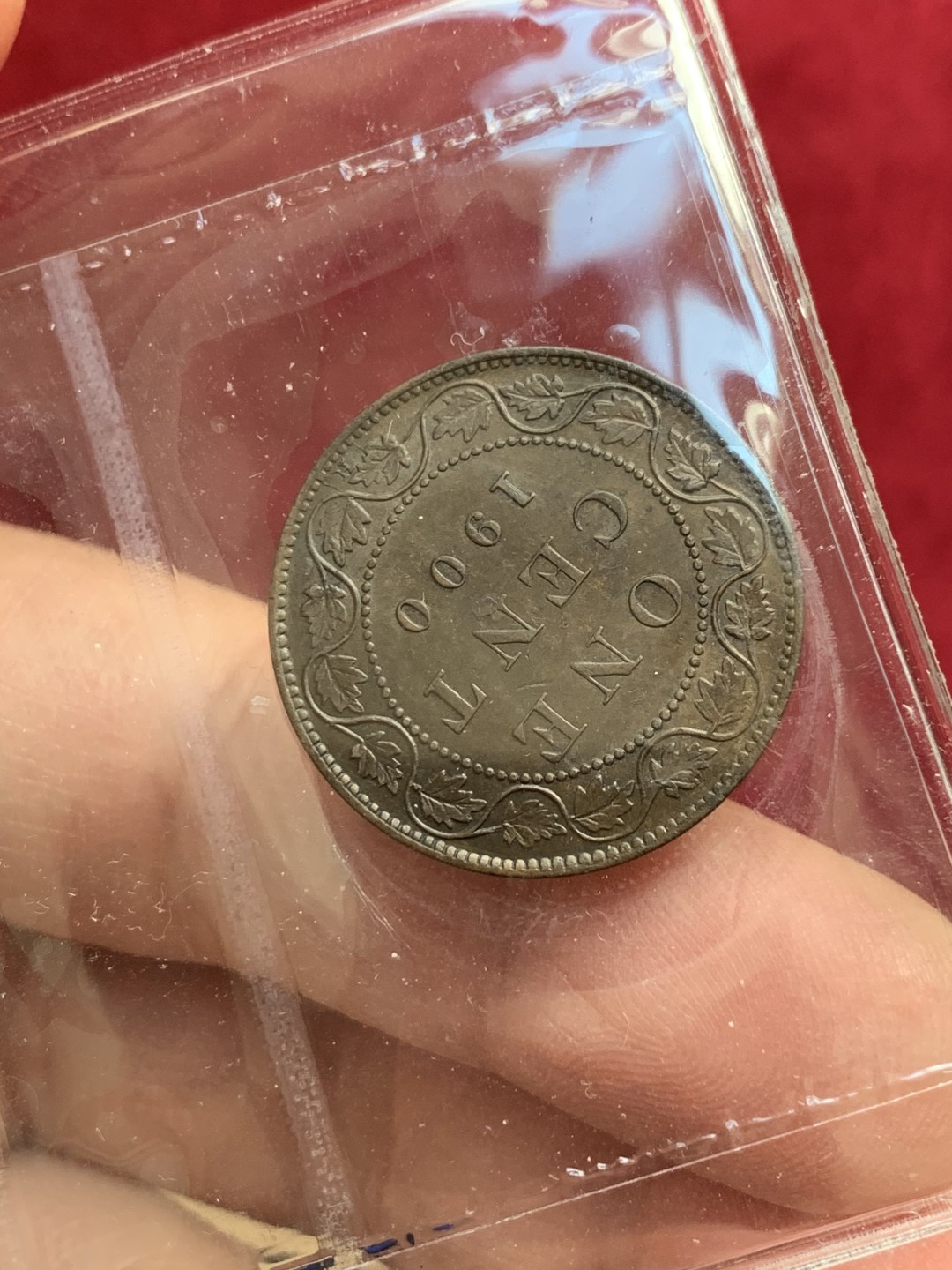 《竞宝斋》第128场-周日，周一 ，2场连拍（全场包邮） 英国本土评级iccs ms60 加拿大1900 1分 评级造型简约  币状态很好