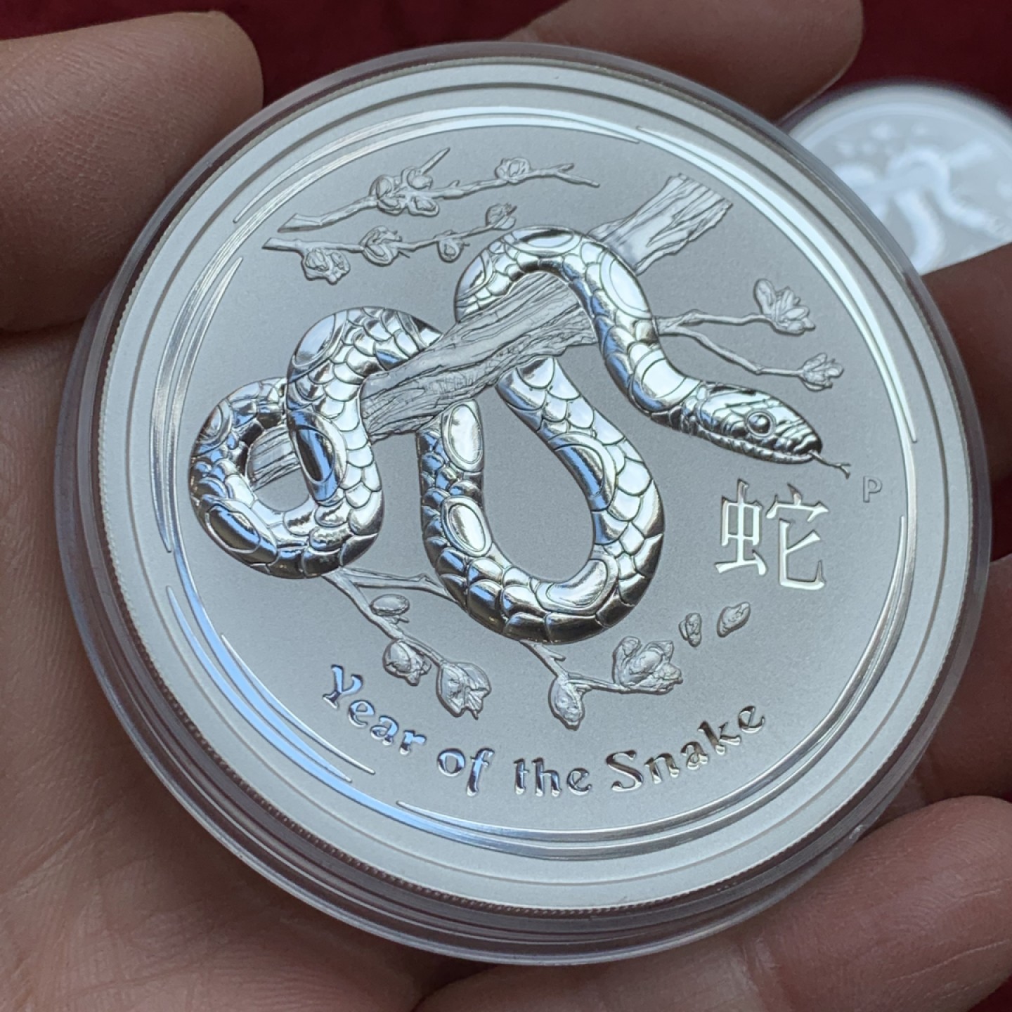 《竞宝斋》第128场-周日，周一 ，2场连拍（全场包邮） 澳大利亚 2013年 蛇年银币3枚一组 1枚5盎司，1枚1盎司，1枚1/2盎司 总6.5盎司202.15克 999银 少见品种