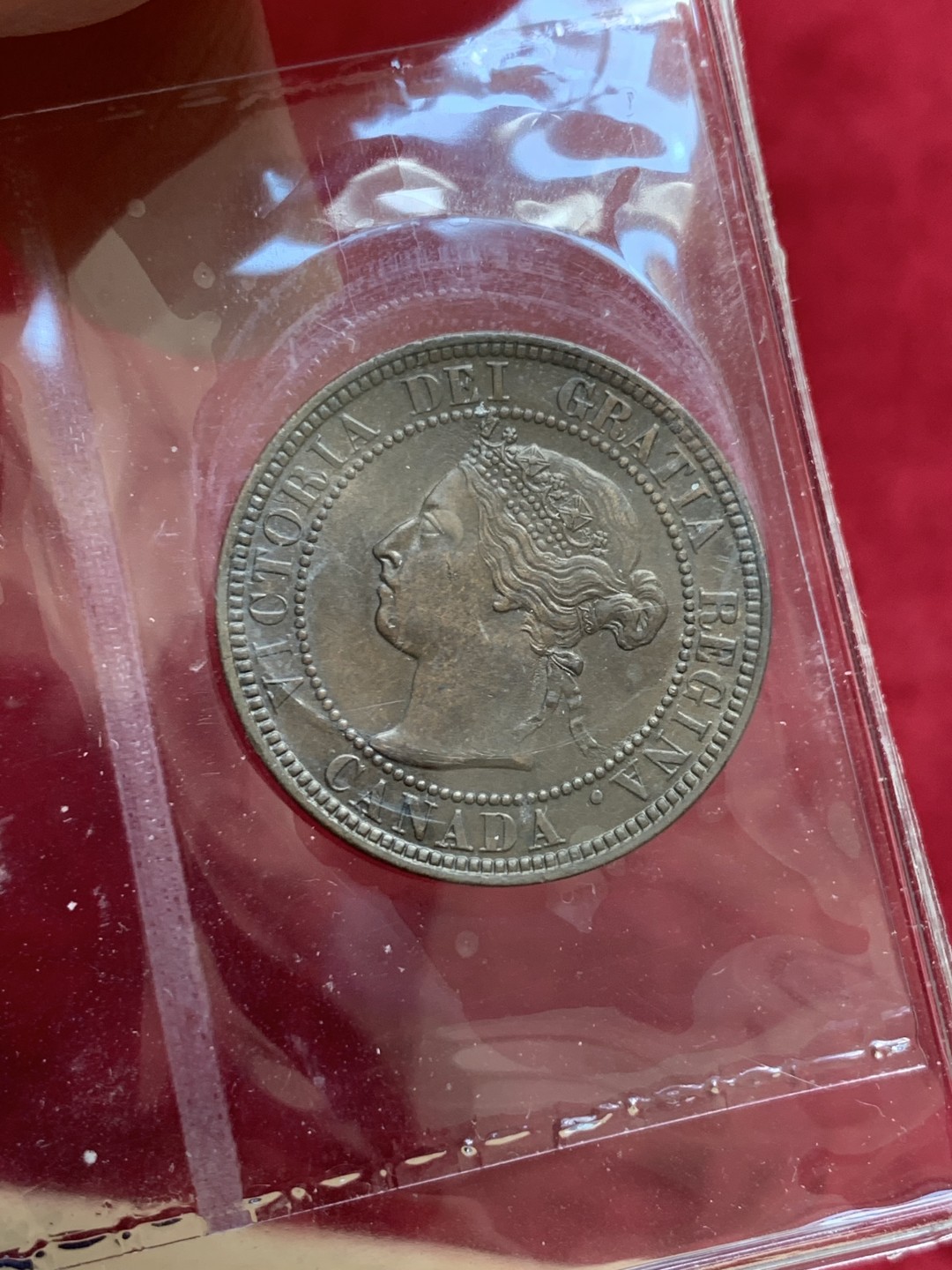 《竞宝斋》第128场-周日，周一 ，2场连拍（全场包邮） 英国本土评级iccs ms60 加拿大1900 1分 评级造型简约  币状态很好