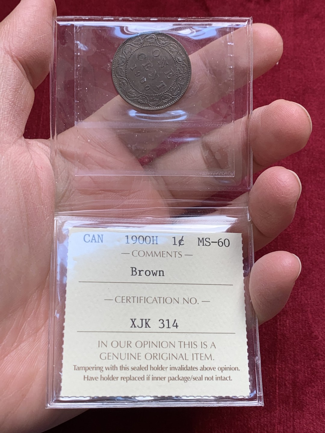 《竞宝斋》第128场-周日，周一 ，2场连拍（全场包邮） 英国本土评级iccs ms60 加拿大1900 1分 评级造型简约  币状态很好