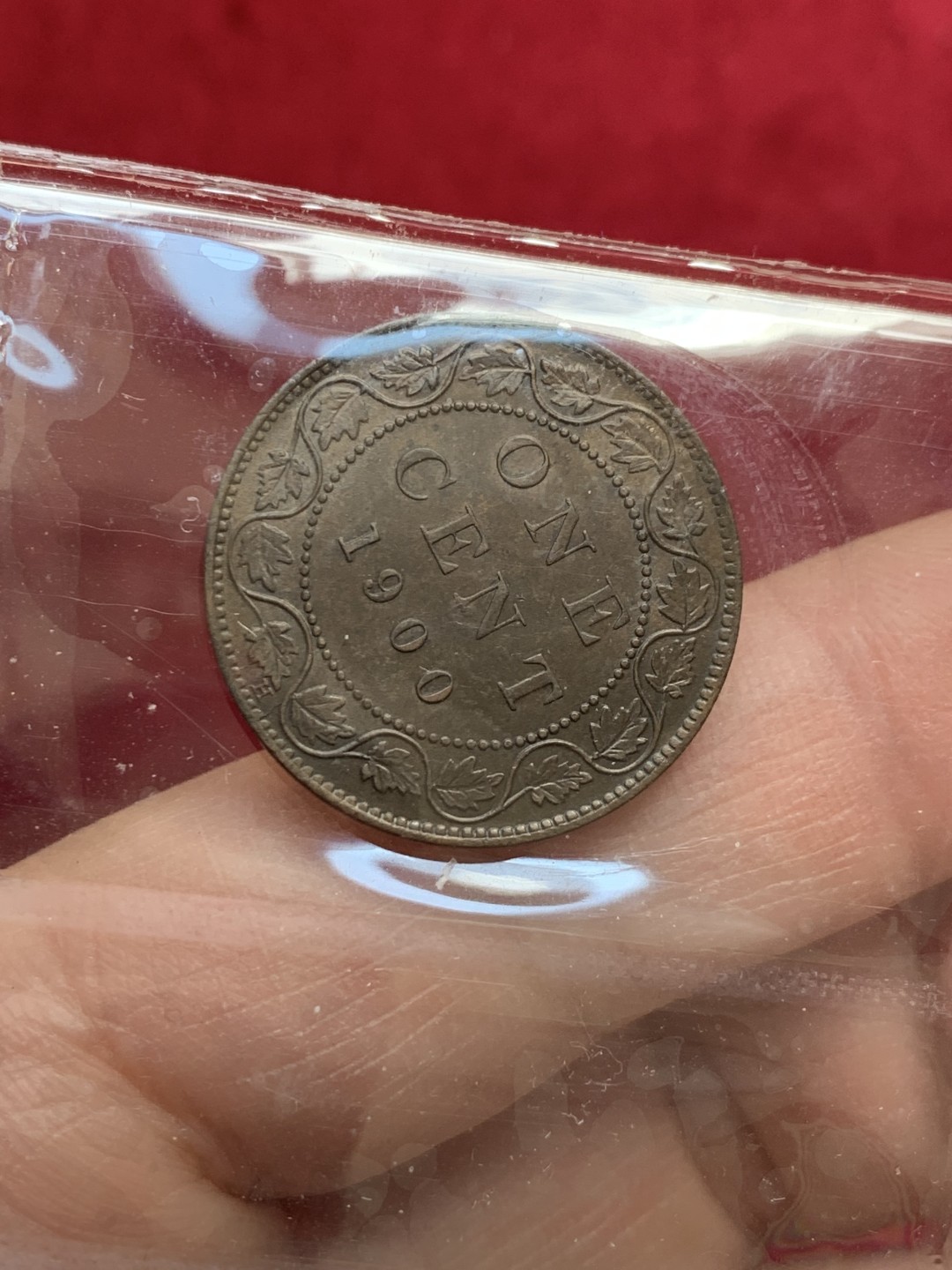 《竞宝斋》第128场-周日，周一 ，2场连拍（全场包邮） 英国本土评级iccs ms60 加拿大1900 1分 评级造型简约  币状态很好