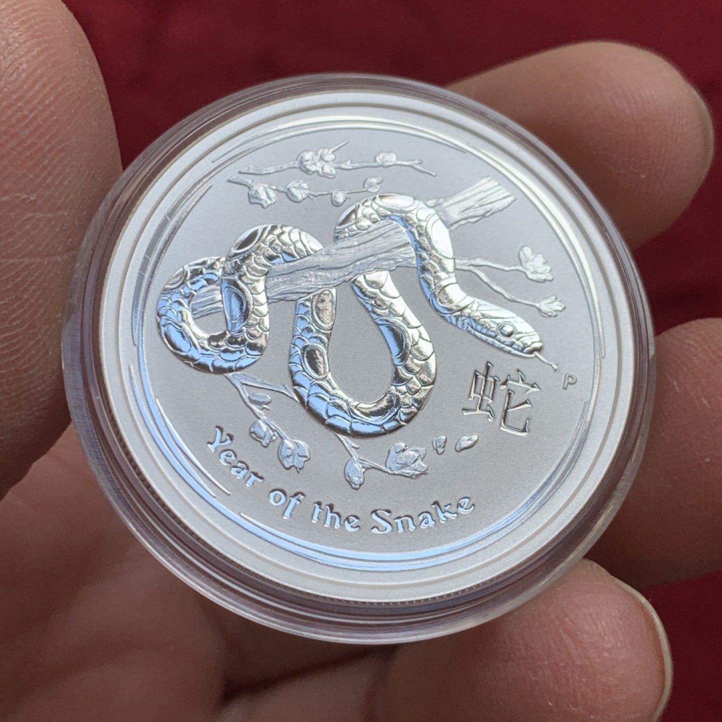 《竞宝斋》第128场-周日，周一 ，2场连拍（全场包邮） 澳大利亚 2013年 蛇年银币3枚一组 1枚5盎司，1枚1盎司，1枚1/2盎司 总6.5盎司202.15克 999银 少见品种