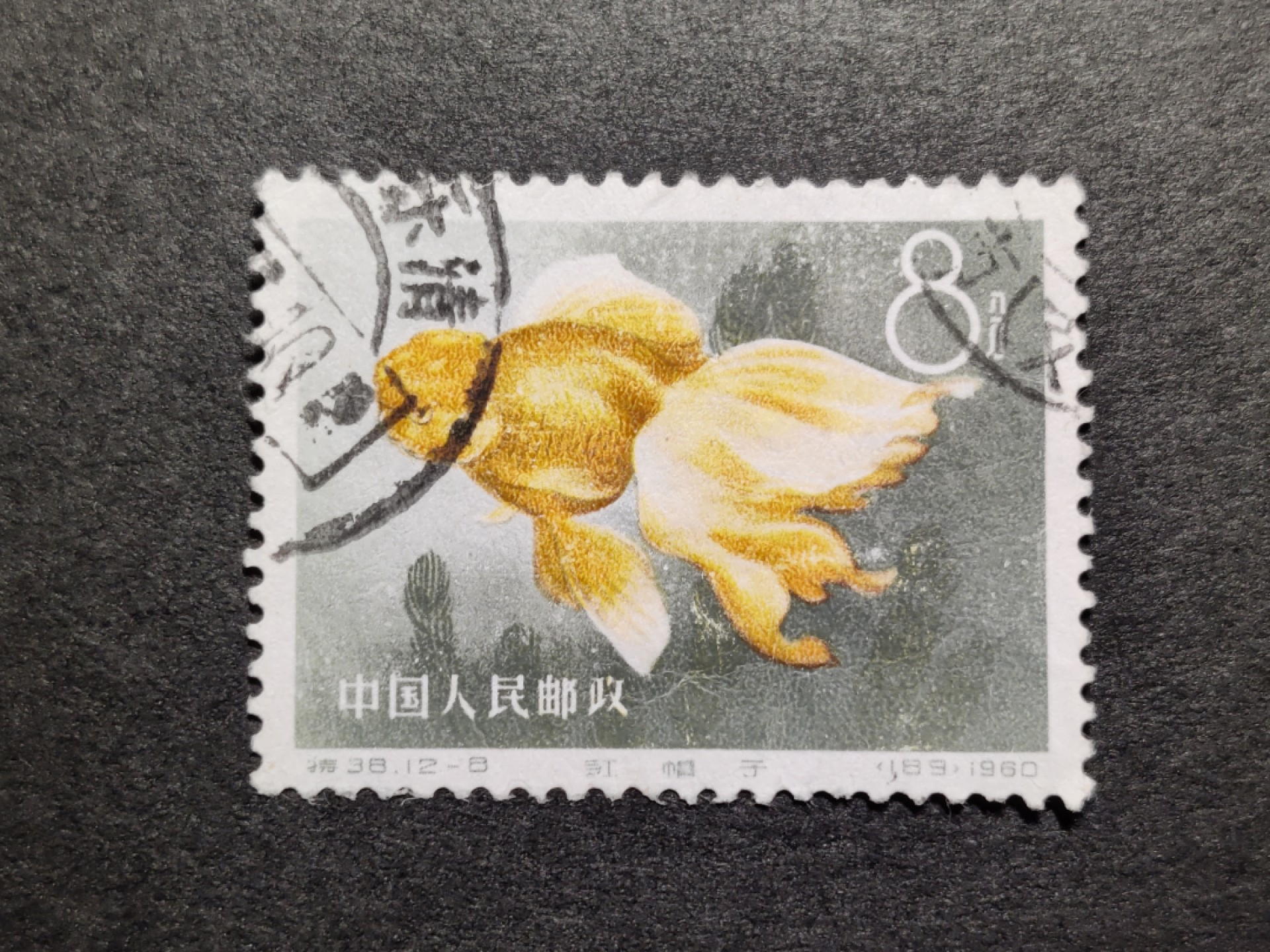 洪涛臻品批发群  精选邮票限时拍卖第一百二十六期 特38金鱼12-8 盖销无胶 角尖齿全 红色变金色 刷色变异