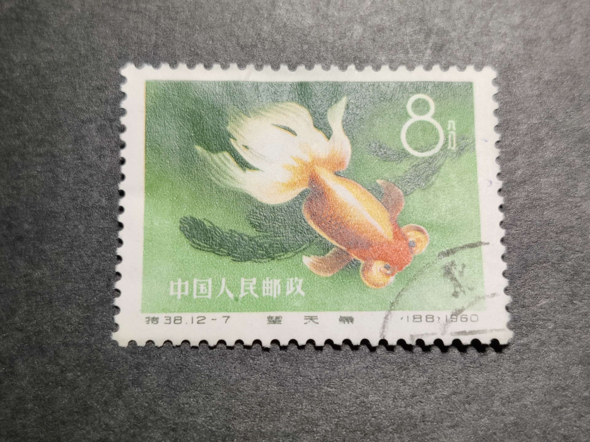 洪涛臻品批发群  精选邮票限时拍卖第一百二十六期 特38金鱼12-7 盖销无胶 角尖齿全 面色鲜艳 上上品