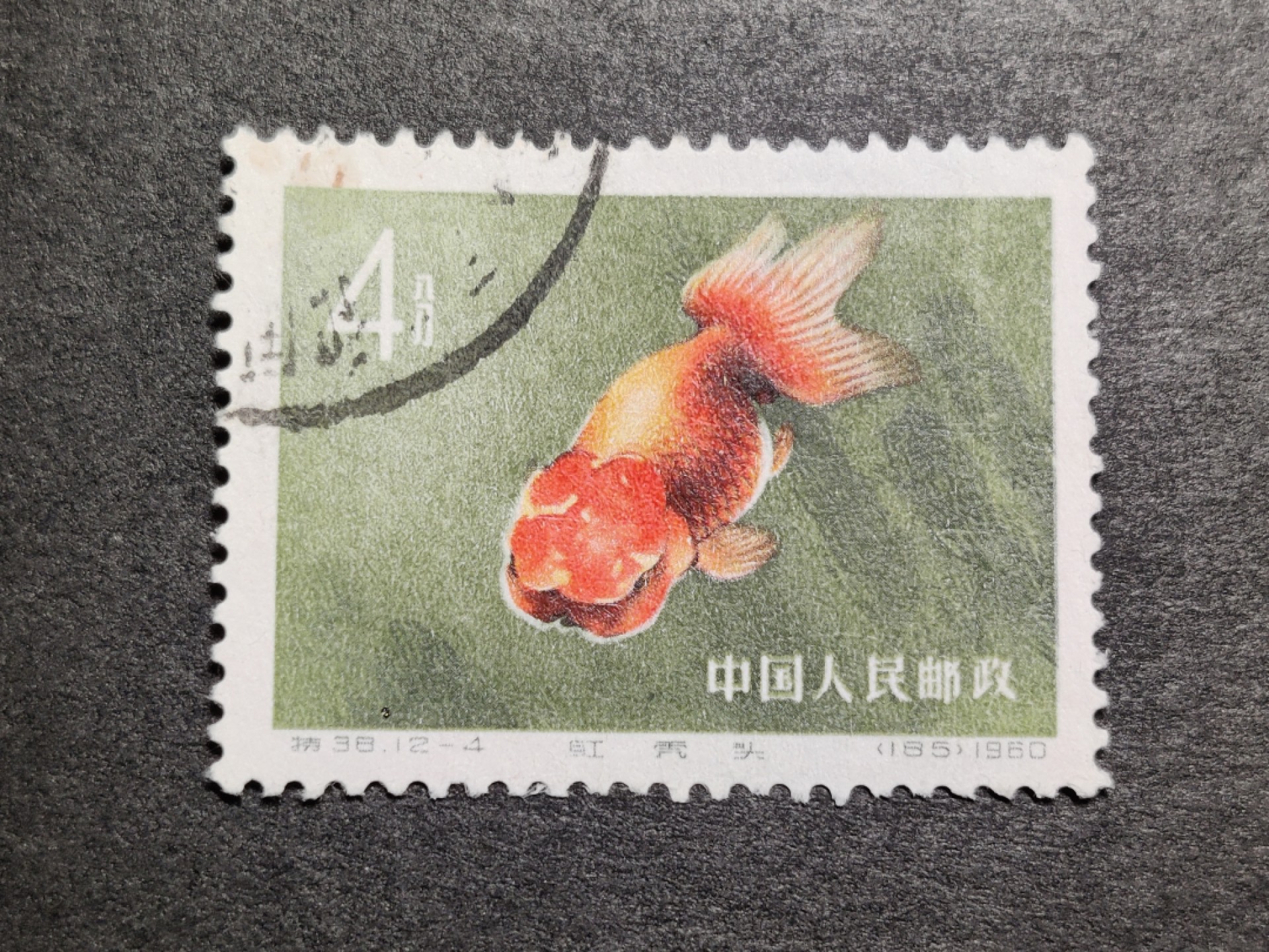 洪涛臻品批发群  精选邮票限时拍卖第一百二十六期 特38金鱼12-4 盖销无胶 角尖齿全 面艳背白 上上品