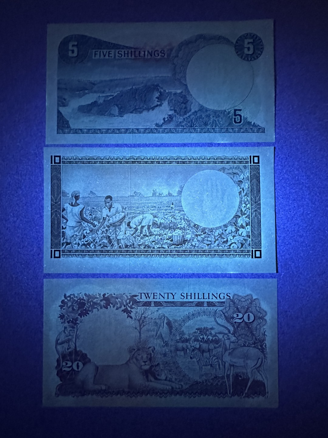 《张总收藏》85期——外币精品 乌干达5、10、20先令3张 UNC 1966年早期版本 Pick1、2、3
