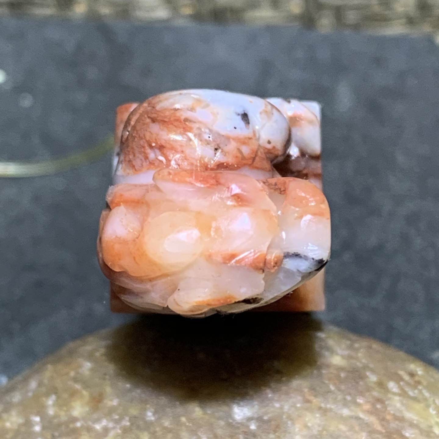 仅此一方！老挝红花冻兽钮一方！