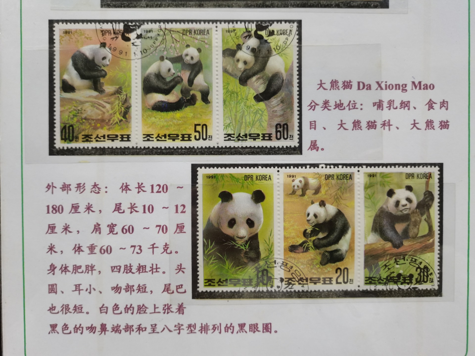 爱淘收藏第16期，无佣金，得标6件包邮