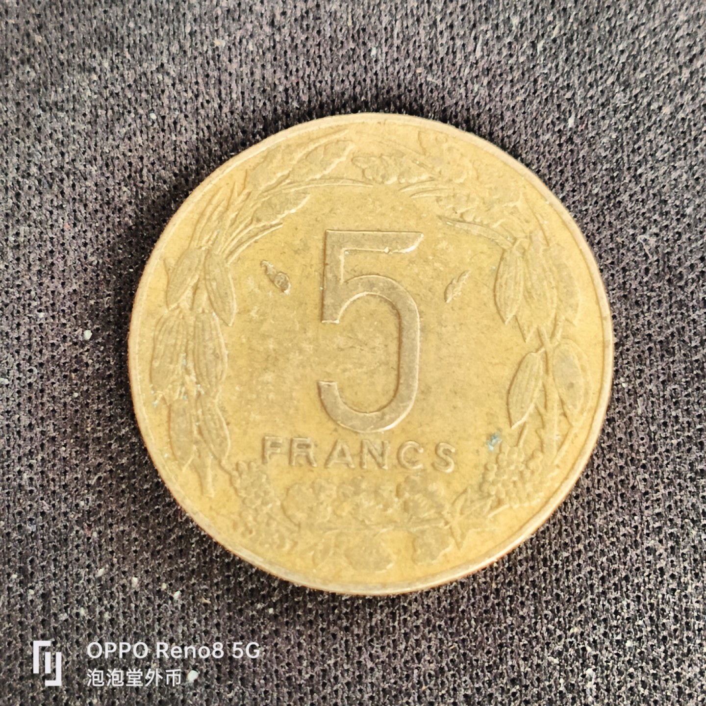 泡泡堂微拍第四十九幕硬币捡漏专场👿👿，零佣金，零押金，累计满二十元包邮 少见中非五法狼。