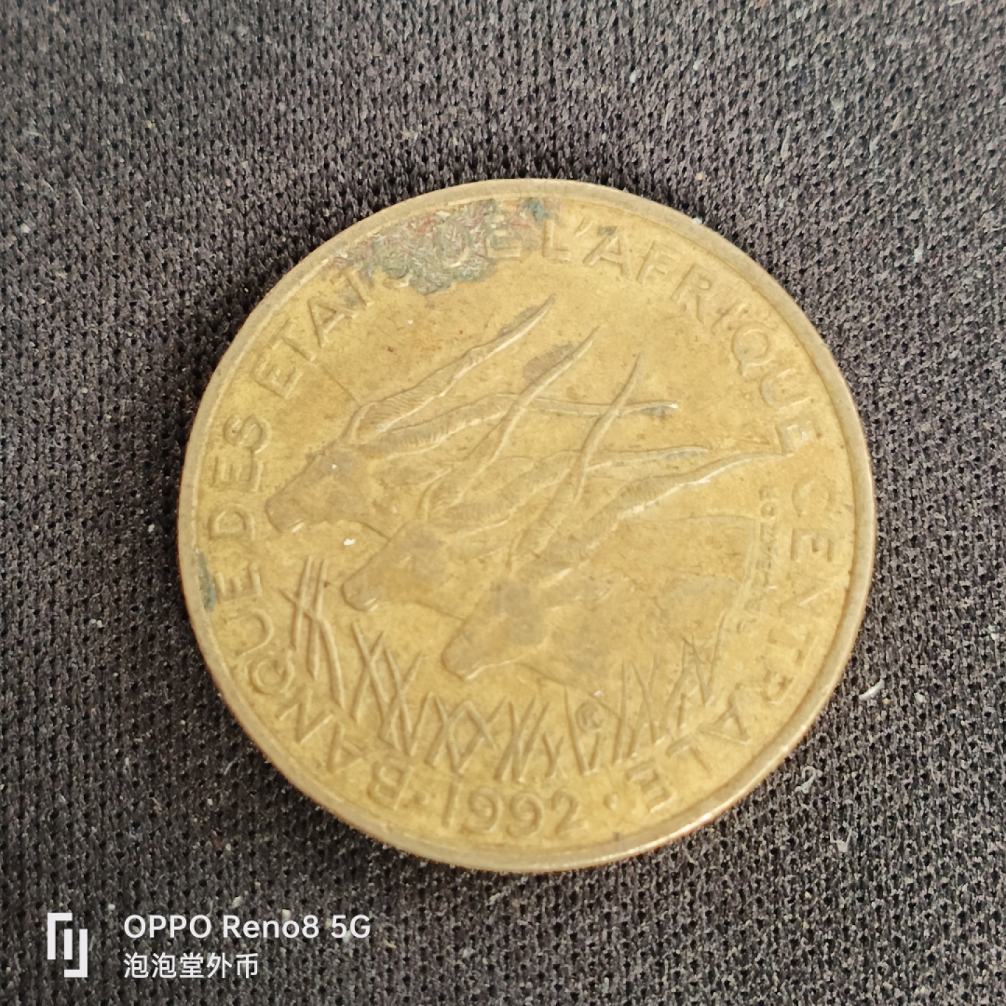 泡泡堂微拍第四十九幕硬币捡漏专场👿👿，零佣金，零押金，累计满二十元包邮 少见中非五法狼。