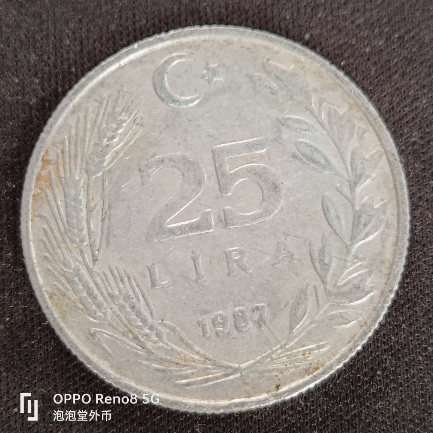 泡泡堂微拍第四十九幕硬币捡漏专场👿👿，零佣金，零押金，累计满二十元包邮 土耳其八七年25里拉。