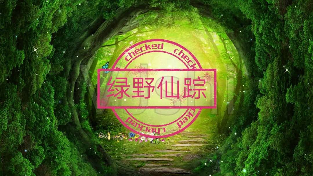 8001精品荧光币专场 995BH绿野仙踪裸币一枚