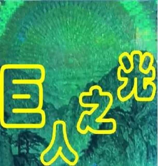 8001精品荧光币专场 995BI巨人之光乾坤评级币