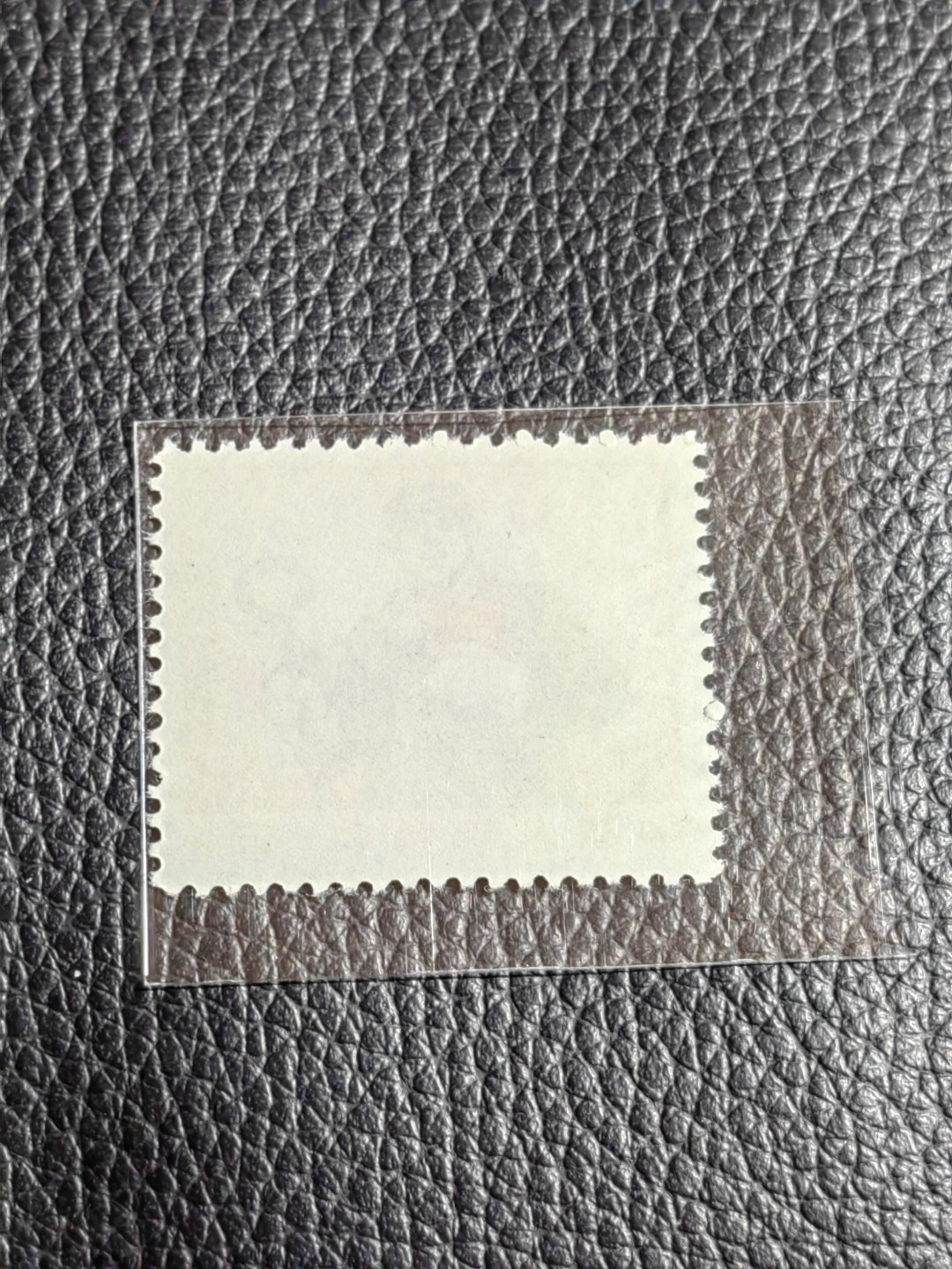 洪涛臻品批发群  精选邮票限时拍卖第一百三十二期 ★组外品★普无号 11.5°细齿 工人裸票一枚，普通票下边16个齿，细齿组外品19个齿，存世量少，全品可评级，喜欢不要错过