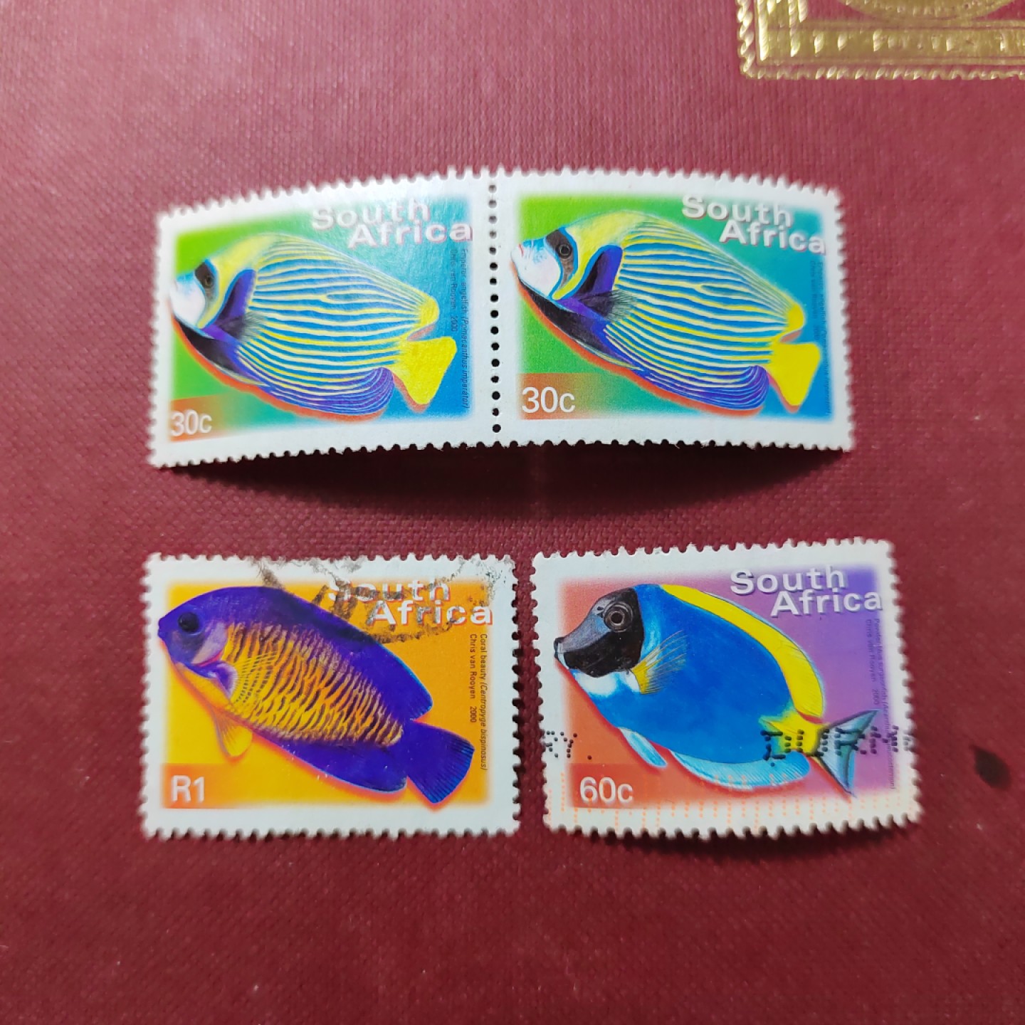 王之爱好～外国邮票 临海鱼类