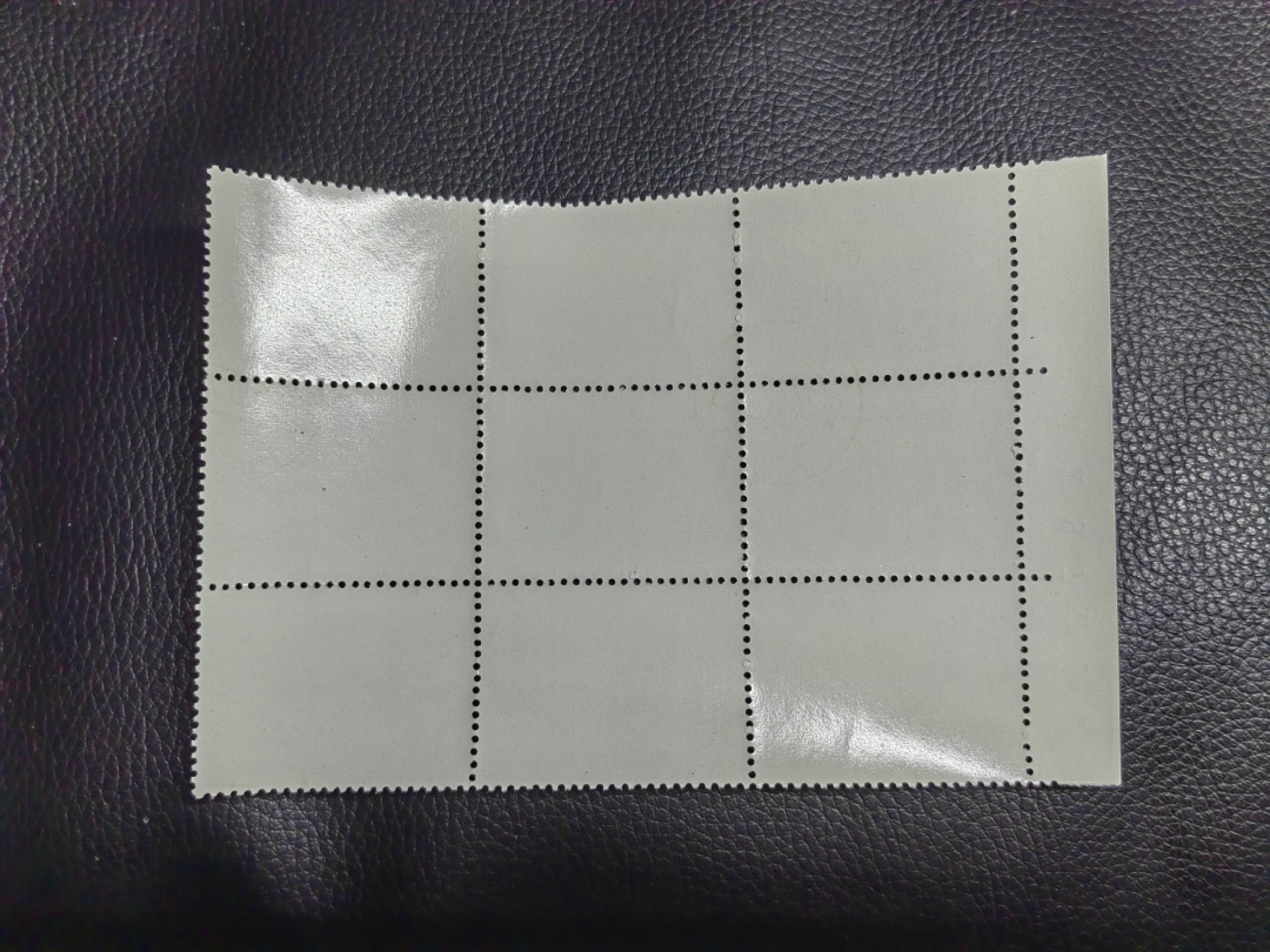 洪涛臻品批发群  精选邮票限时拍卖第一百三十六期 热门品种，特73井冈山  盖销  8-4 厂名+数字  9连一组，白胶润到流油。老纪特三俗稀缺，经典热门票，几乎全品，轻微软印如图，撕口新，适合收藏，喜欢不要错过，全品可评级