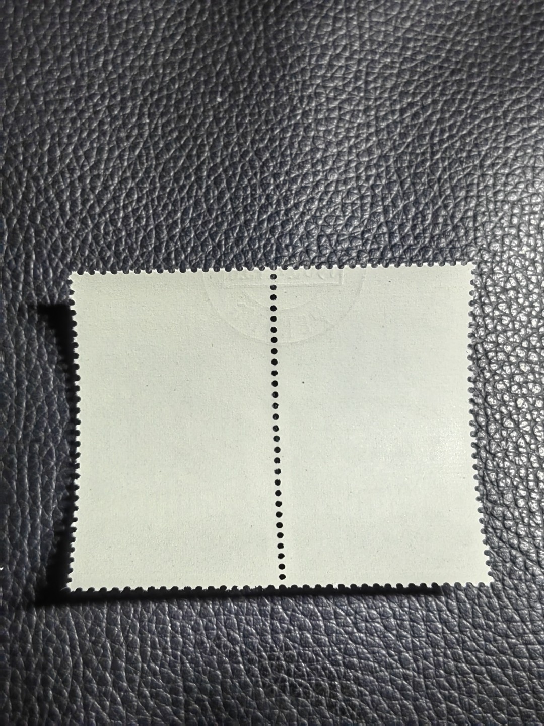 洪涛臻品批发群  精选邮票限时拍卖第一百三十六期 特68新安江4-2盖销  2连，中间戳，★品相可以用完美来形容，钢戳比手戳贵不少，版撕全品嘎嘎绝 背胶雪白。解放初的经典票，整版撕开，面艳胶白，票挺洁净，齿孔完美。老纪特的版票资源十分稀缺难寻，机会来临时必须抓住。
