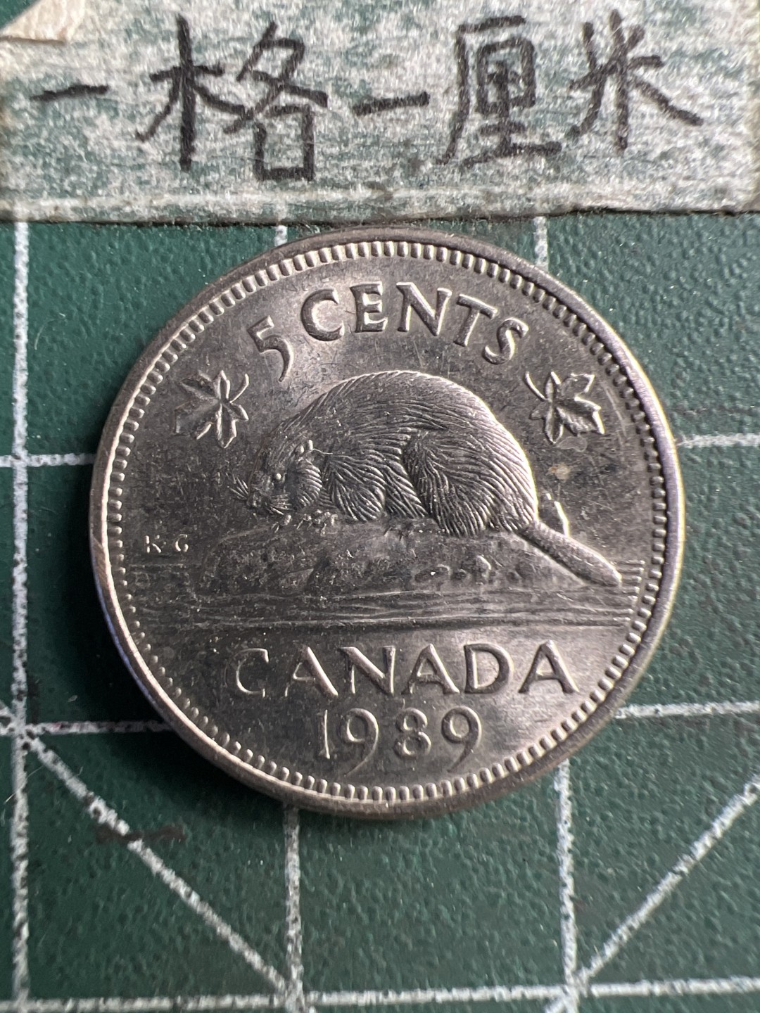 泡泡堂第183期  世界硬币（无押金，无佣金，捡漏，全场20包邮，偏远地区除外） 加拿大5分