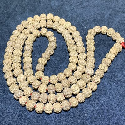精美蜂窝双龙小金刚菩提一条 - 精美蜂窝双龙小金刚菩提一条