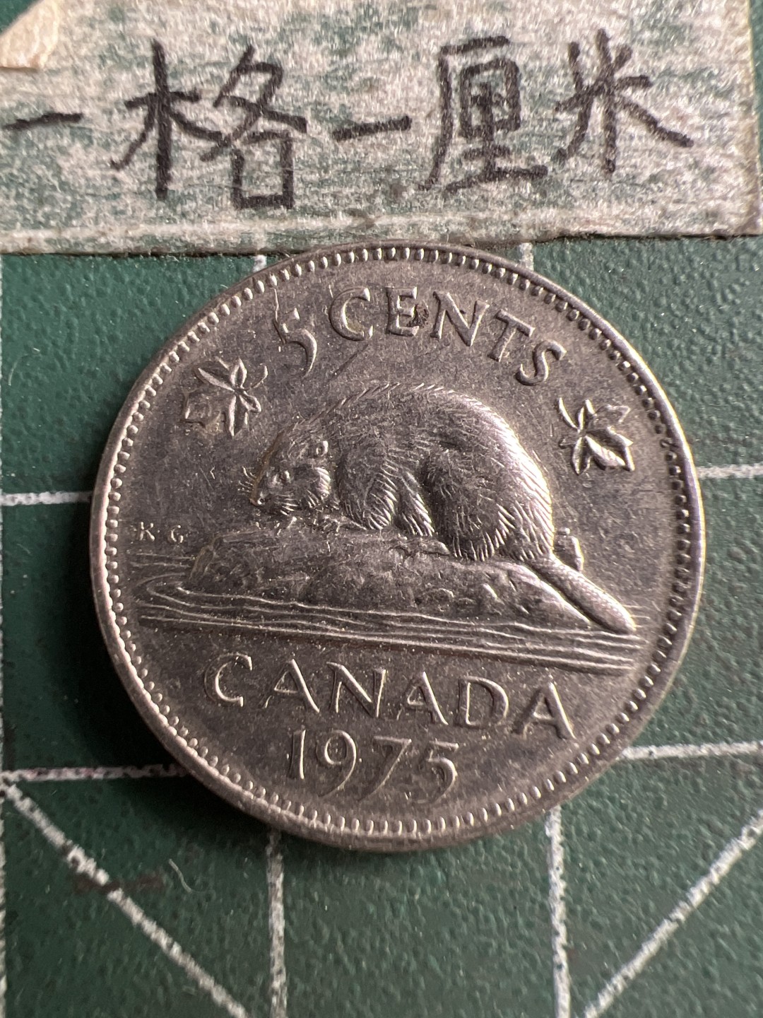 泡泡堂第183期  世界硬币（无押金，无佣金，捡漏，全场20包邮，偏远地区除外） 加拿大5分