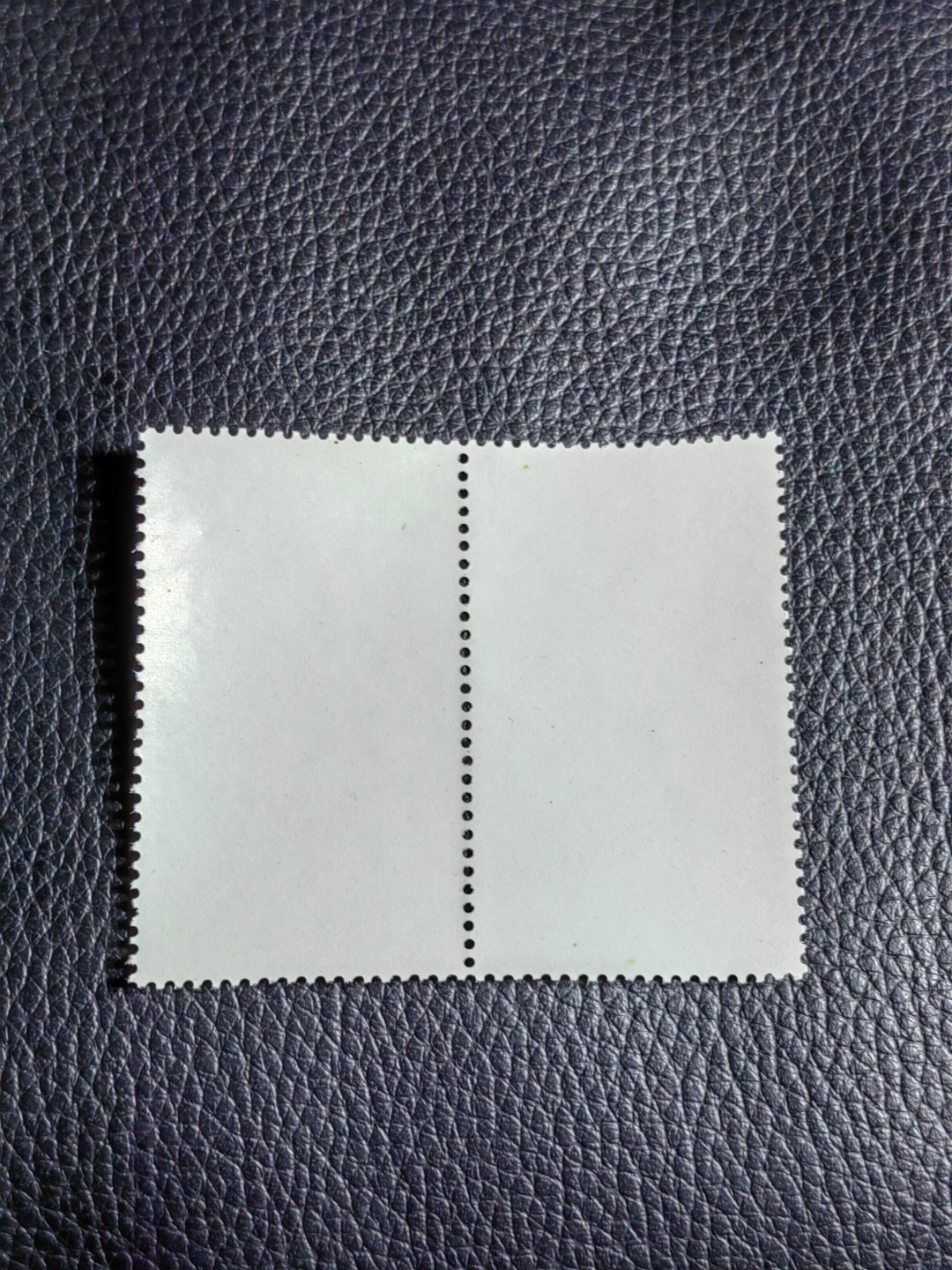 洪涛臻品批发群  精选邮票限时拍卖第一百四十期 特68新安江水电站 4-3 二连，盖销 白胶，版撕全品嘎嘎绝，喜欢不要错过
