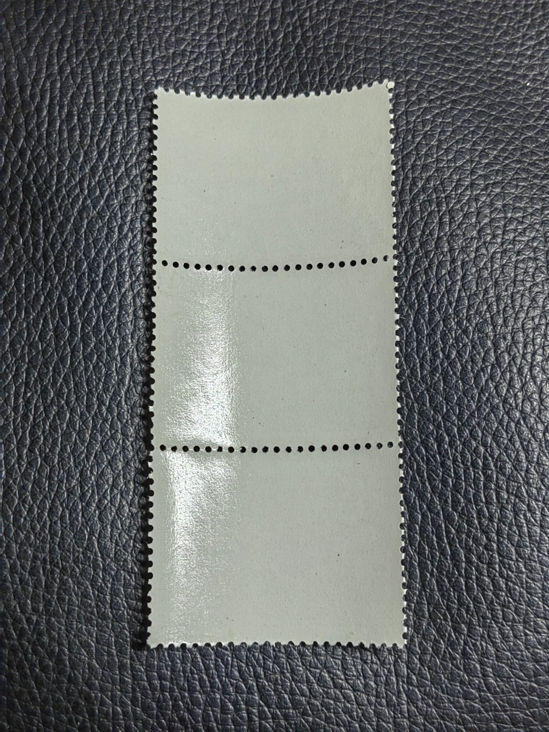 洪涛臻品批发群 精选邮票限时拍卖第三百二十一期  热门品种，特73井冈山  盖销  8-4 三连，白胶润到流油。老纪特三俗稀缺，经典热门票，版撕全品嘎嘎绝，撕口新，适合收藏，喜欢不要错过，全品可评级