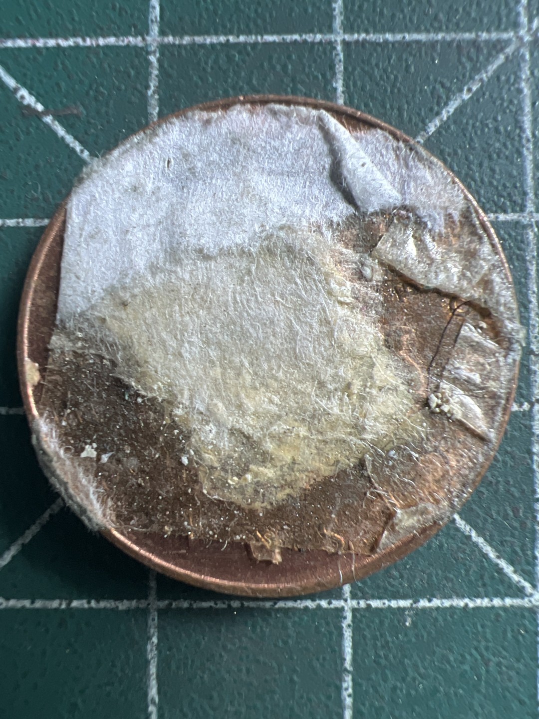 泡泡堂第186期  世界硬币（无押金，无佣金，捡漏，全场20包邮，偏远地区除外） 捷克十克朗