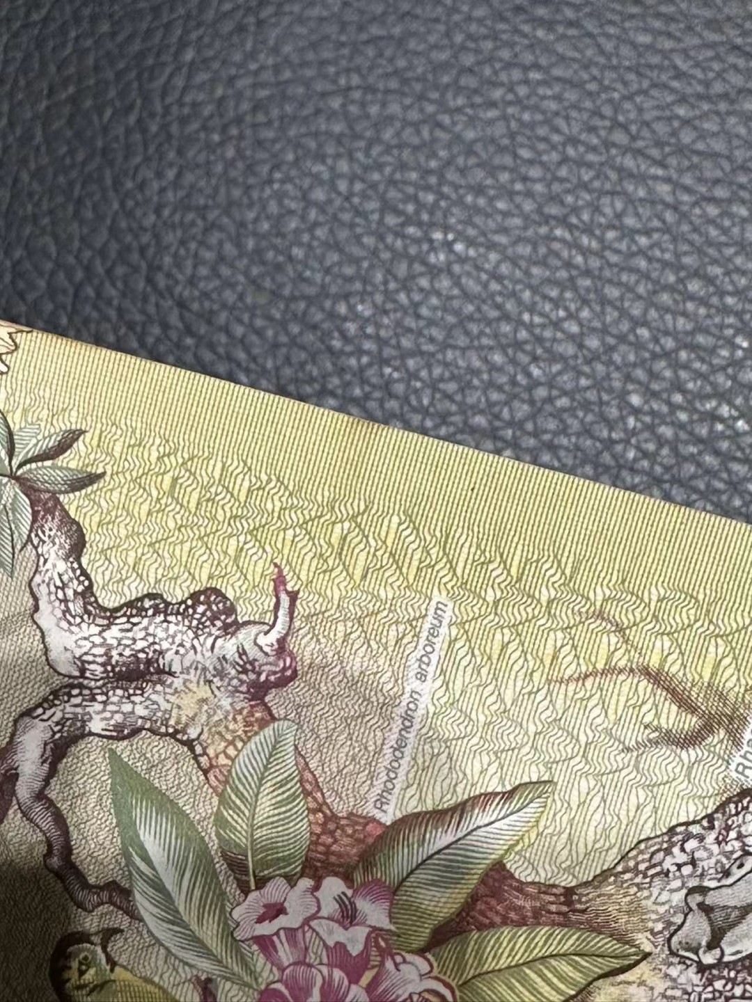 《外钞收藏家》第二百四十二期（连拍场） 斯里兰卡10 AU品相 有折两个发黄点和轻微潮