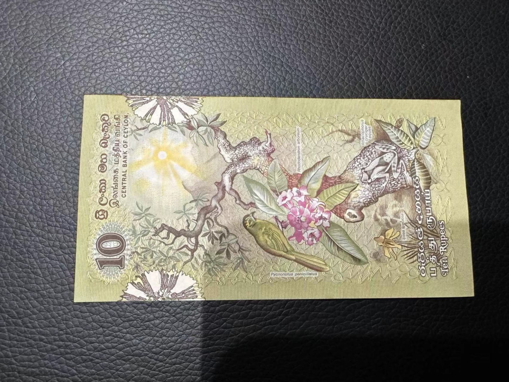 《外钞收藏家》第二百四十二期（连拍场） 斯里兰卡10 AU品相 有折两个发黄点和轻微潮