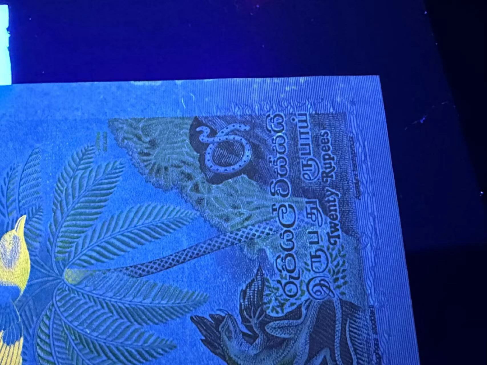 《外钞收藏家》第二百四十二期（连拍场） 斯里兰卡20 近全新 边角有潮