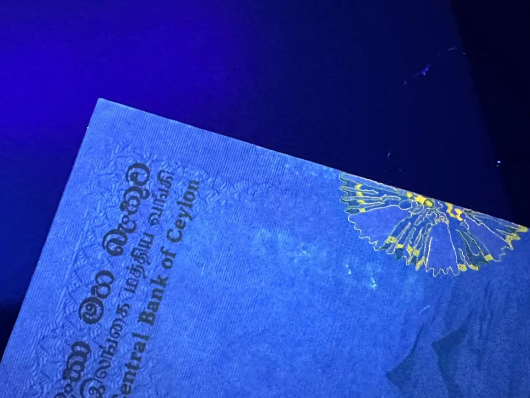 《外钞收藏家》第二百四十二期（连拍场） 斯里兰卡20 近全新 边角有潮