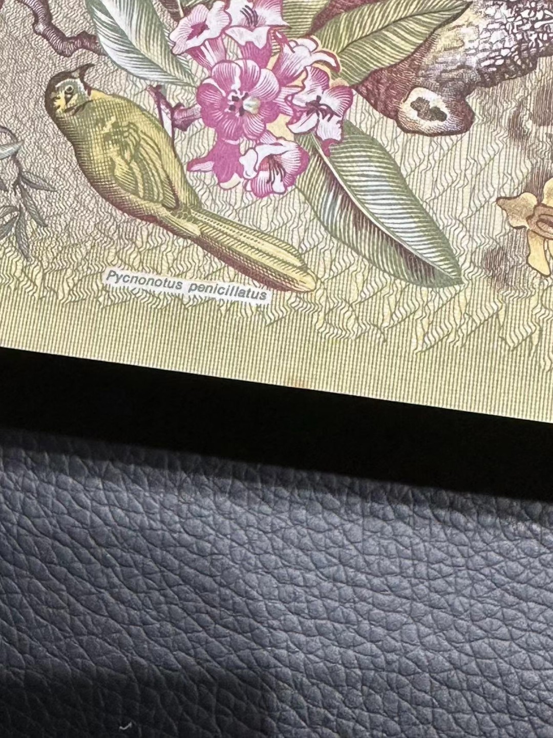 《外钞收藏家》第二百四十二期（连拍场） 斯里兰卡10 AU品相 有折两个发黄点和轻微潮