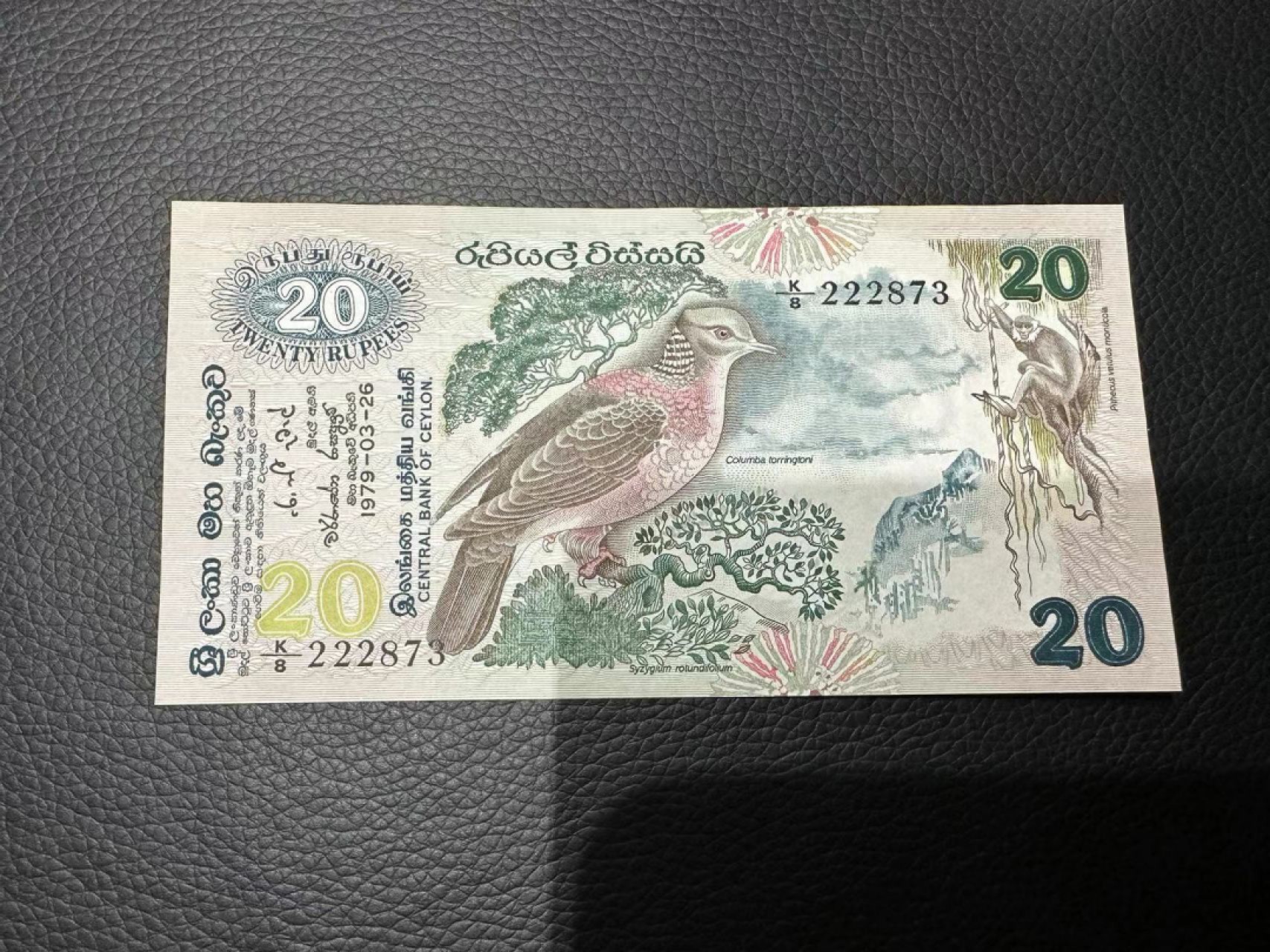 《外钞收藏家》第二百四十二期（连拍场） 斯里兰卡20 近全新 边角有潮