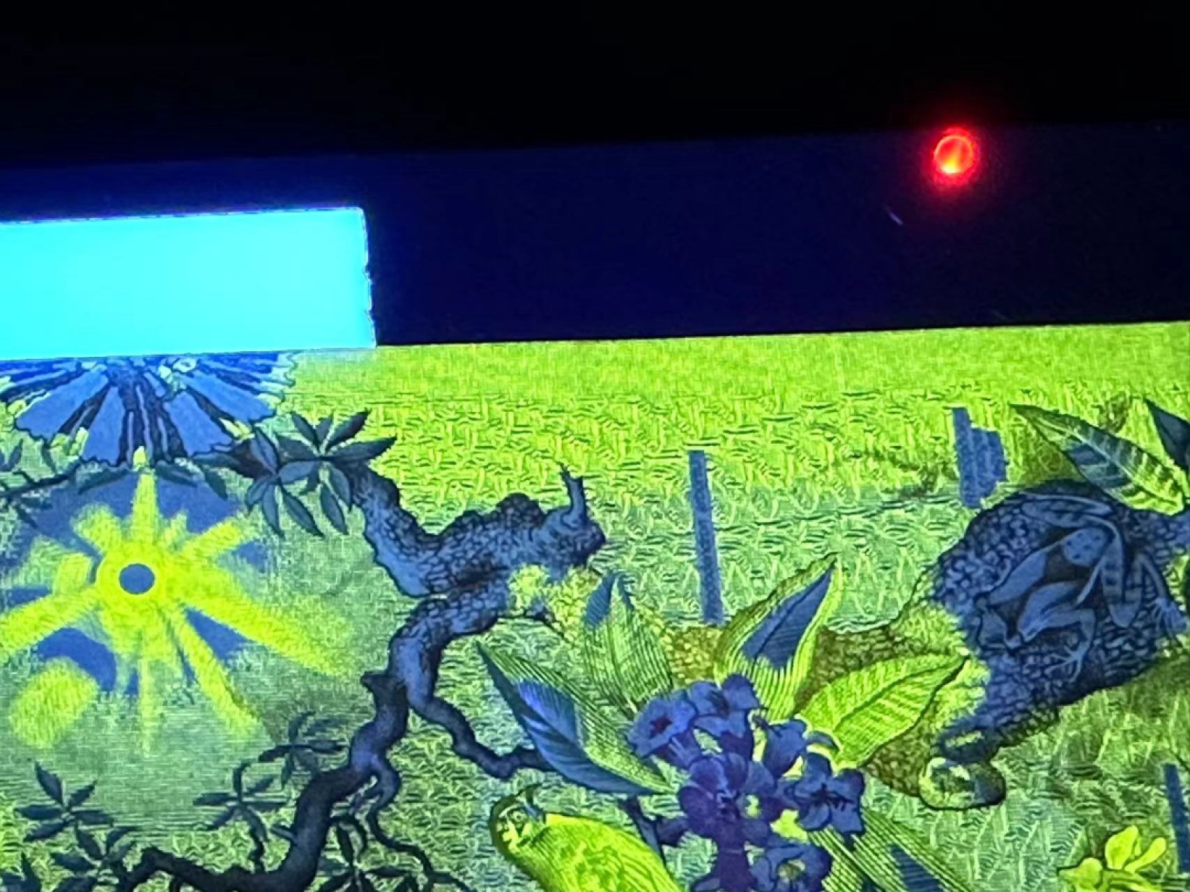 《外钞收藏家》第二百四十二期（连拍场） 斯里兰卡10 AU品相 有折两个发黄点和轻微潮