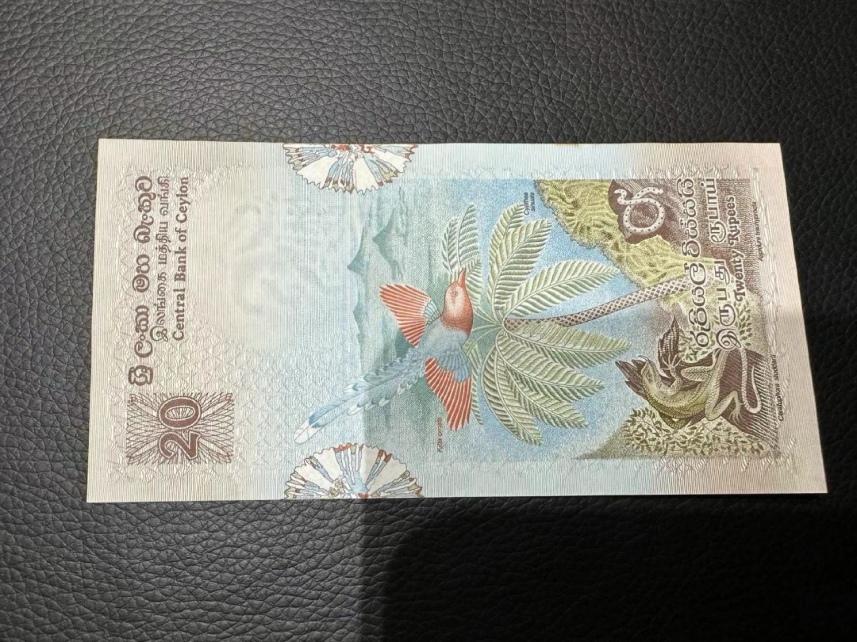 《外钞收藏家》第二百四十二期（连拍场） 斯里兰卡20 近全新 边角有潮