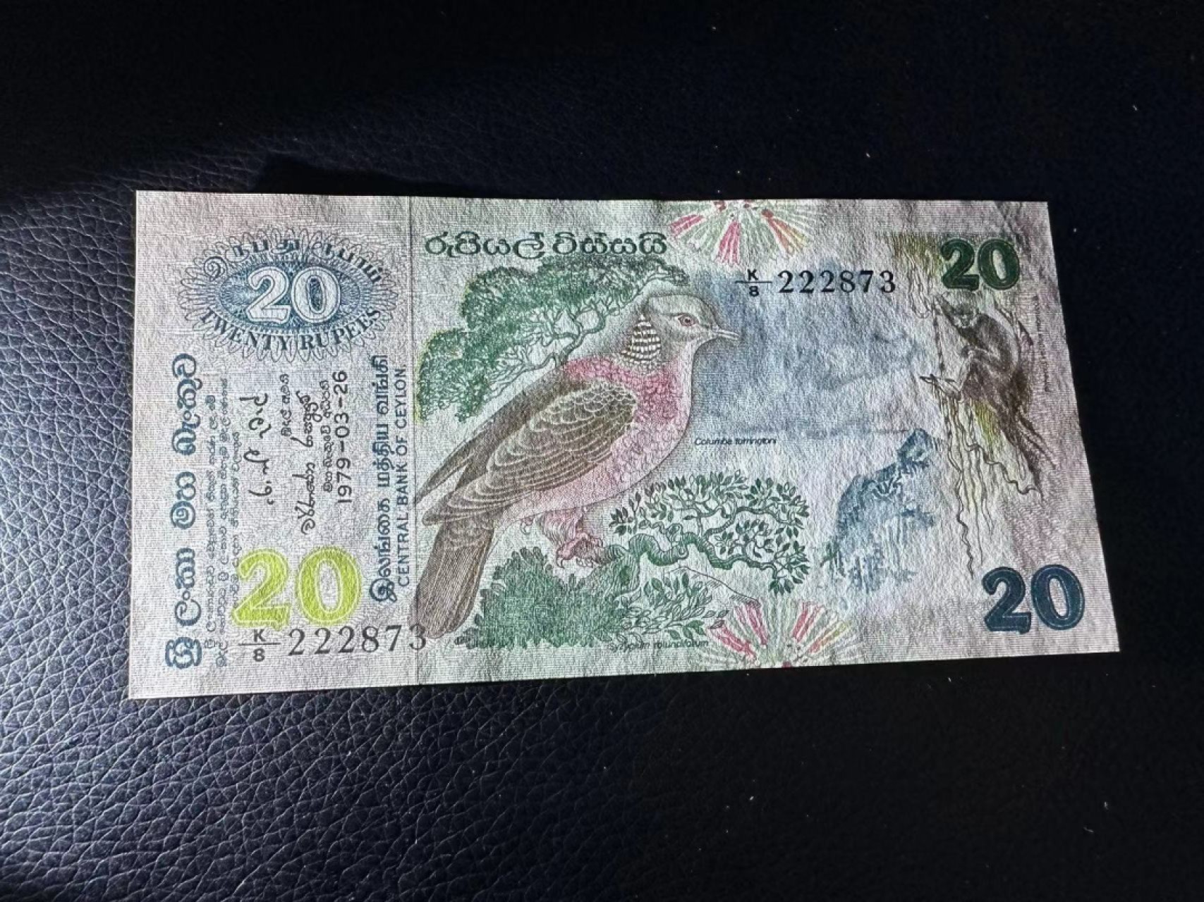 《外钞收藏家》第二百四十二期（连拍场） 斯里兰卡20 近全新 边角有潮