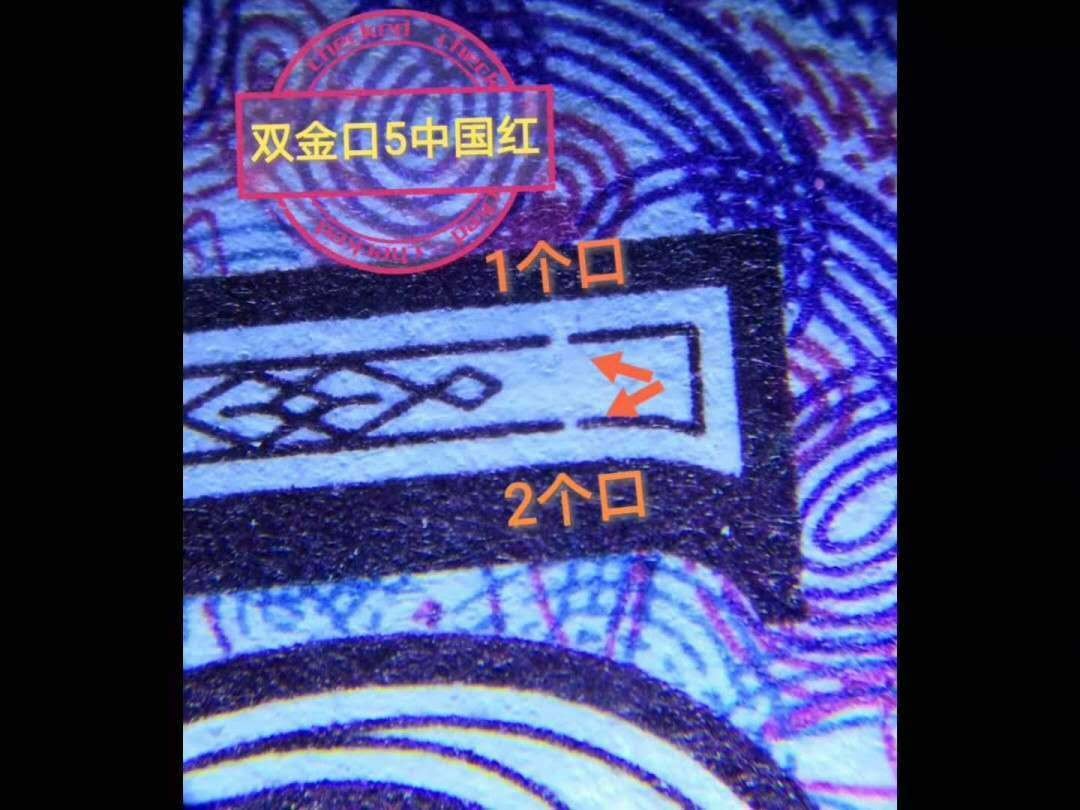 8005荧光币专场无托拍 8005双金口5中国红516