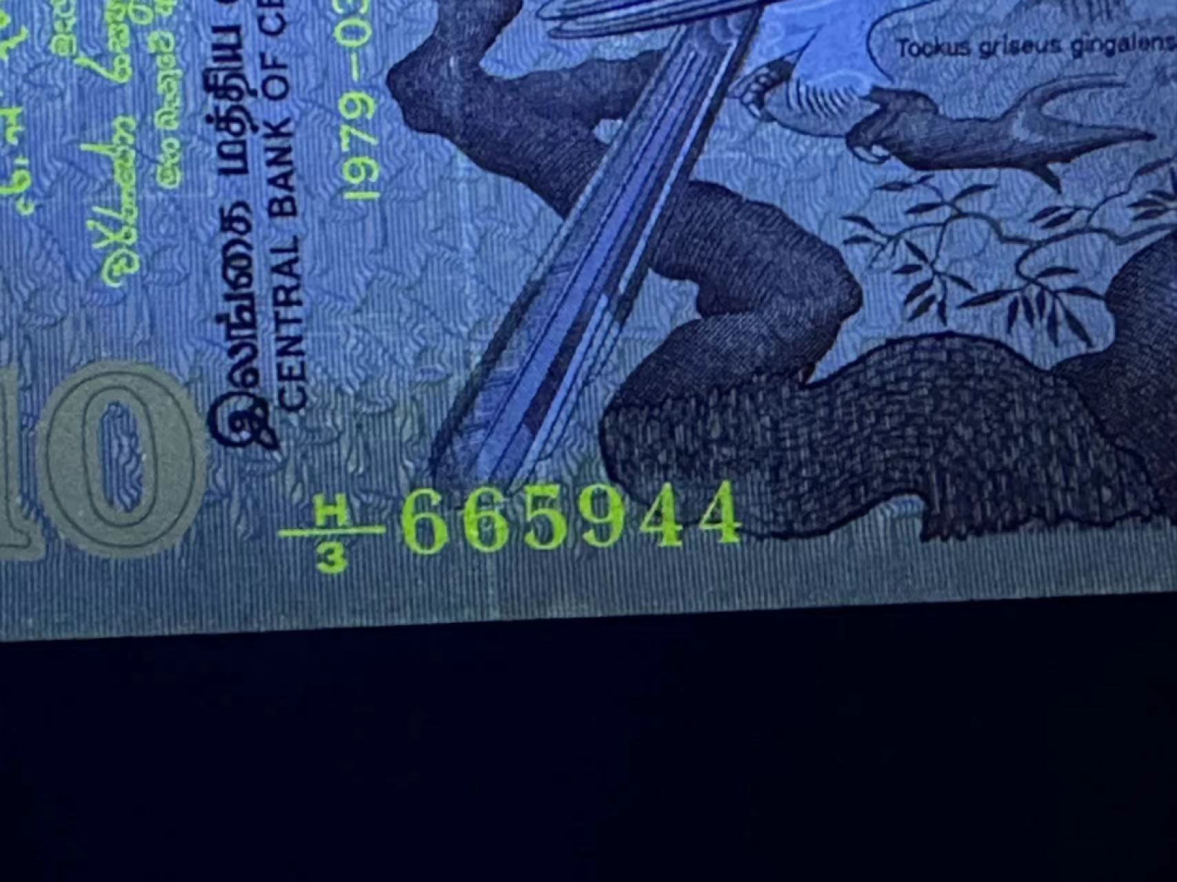 《外钞收藏家》第二百四十二期（连拍场） 斯里兰卡10 AU品相 有折两个发黄点和轻微潮