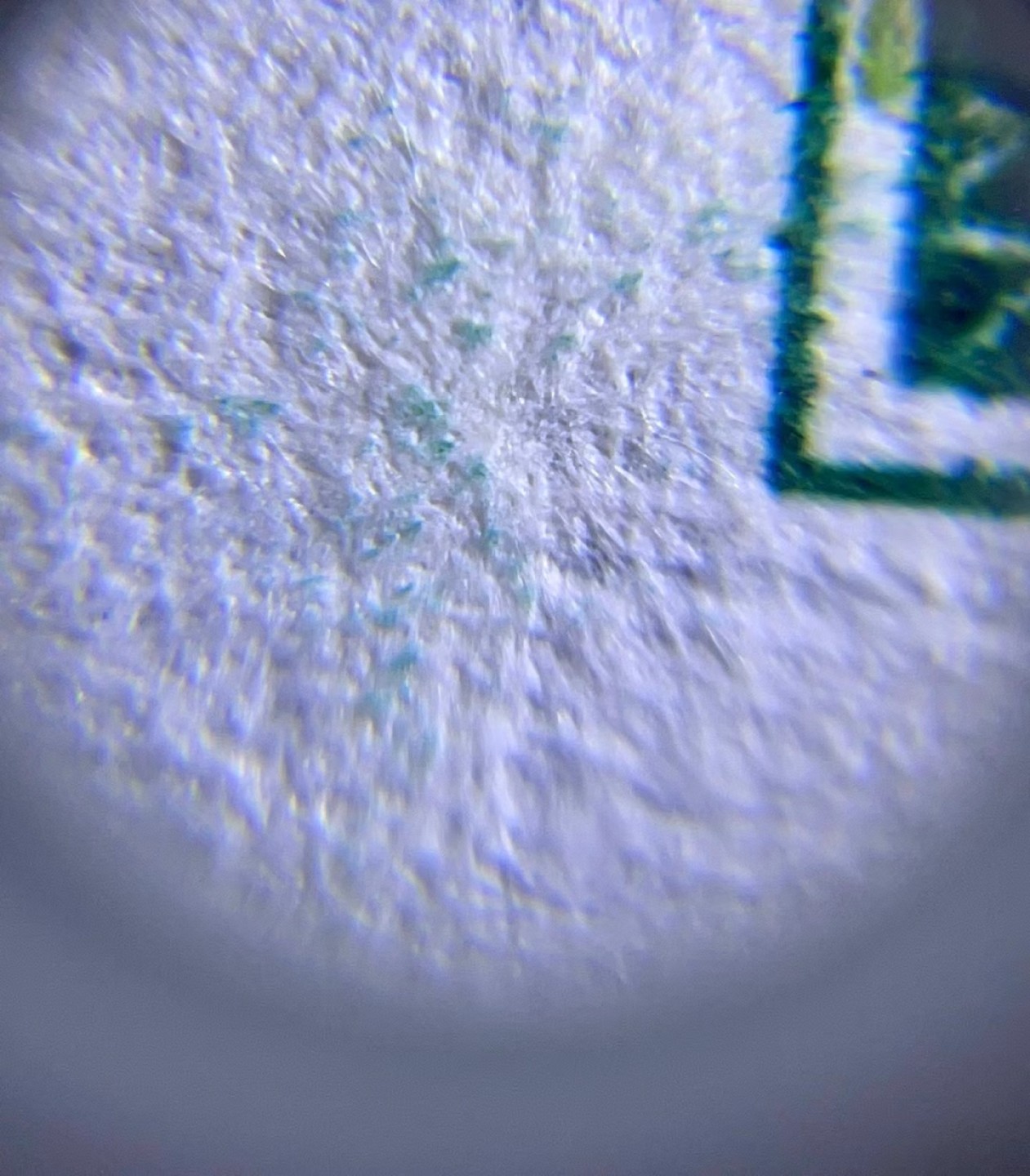 北极狼藏苑社限时精品（37） 1385-第四套人币·错版恐龙号·数二·裁剪错误· 原始油墨·PBG67EPQ