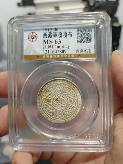 西藏铜币银币及双旗半圆系列 章嘎嘎布公博评级币