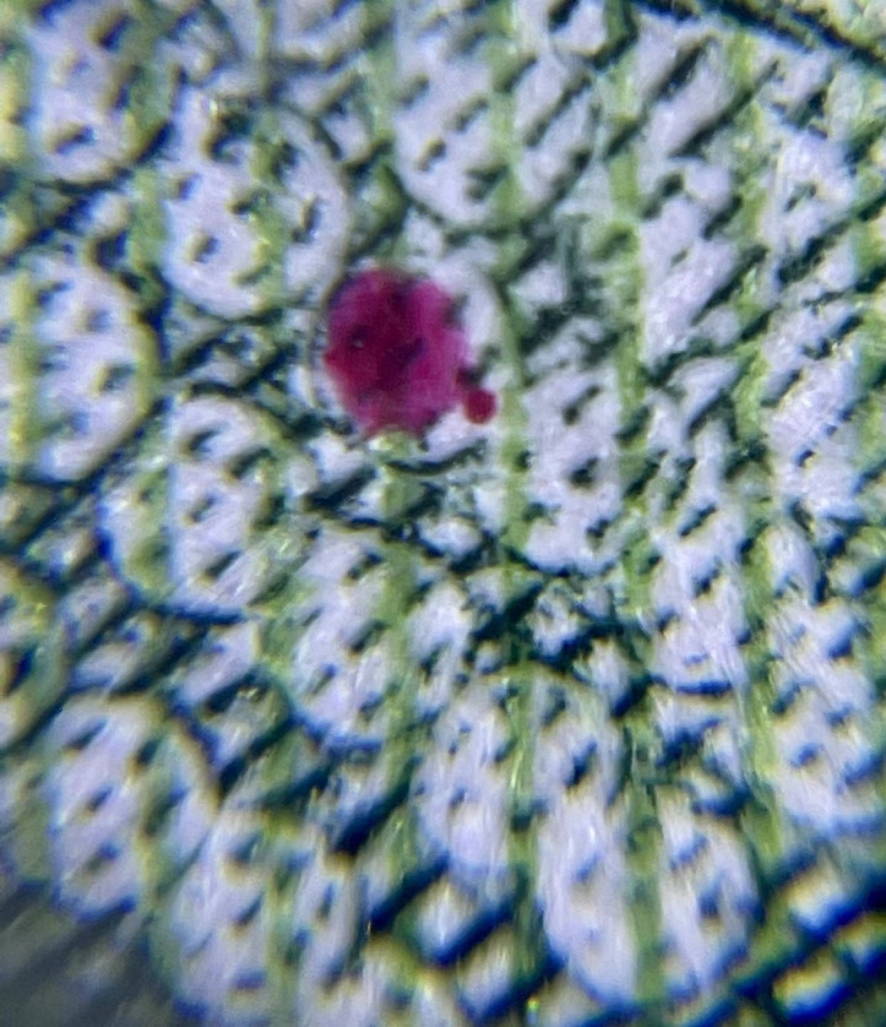 北极狼藏苑社限时精品（37） 1385-第四套人币·错版恐龙号·数二·裁剪错误· 原始油墨·PBG67EPQ