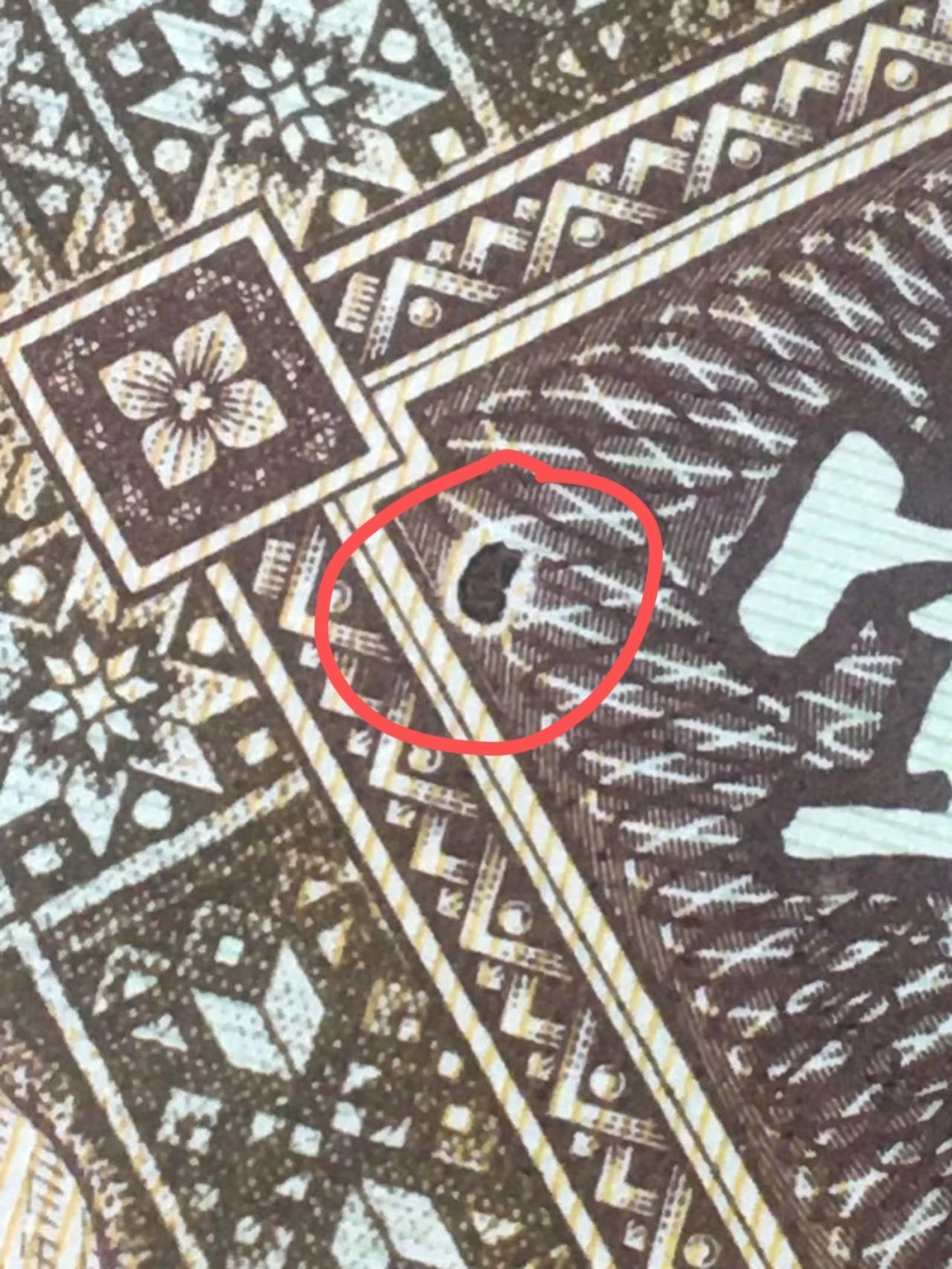 一线荧光币第46期拍场 钱坤评级8001FN大珍珠趣味币，红荧光错币，FN11815189，评级币单张，珍珠大的错币，绝品无斑无油