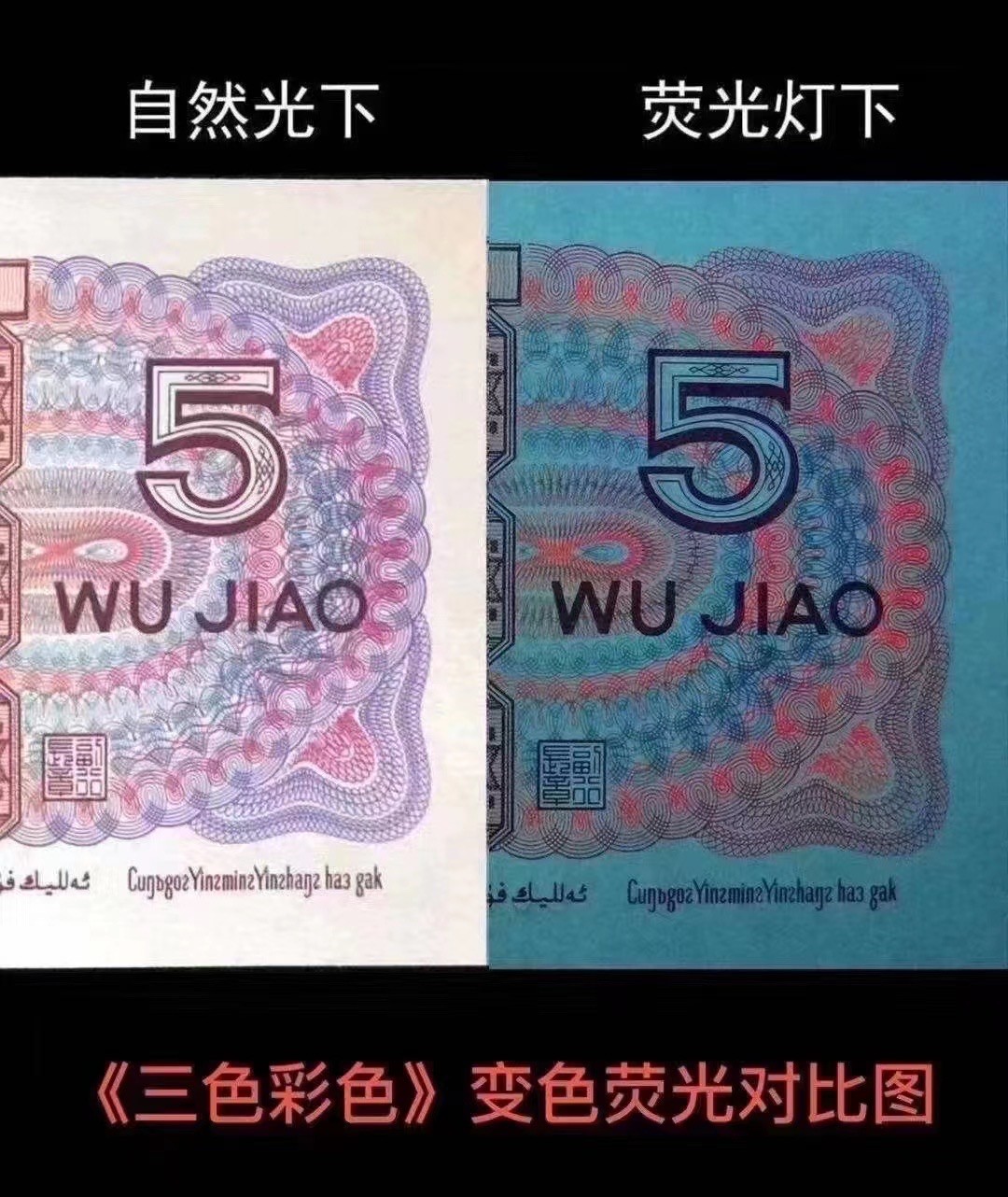 一线荧光币第46期拍场 钱坤评级8005PC三色彩蝶，最美彩蝶，PC33934664，评级币单张，绝品无斑无油