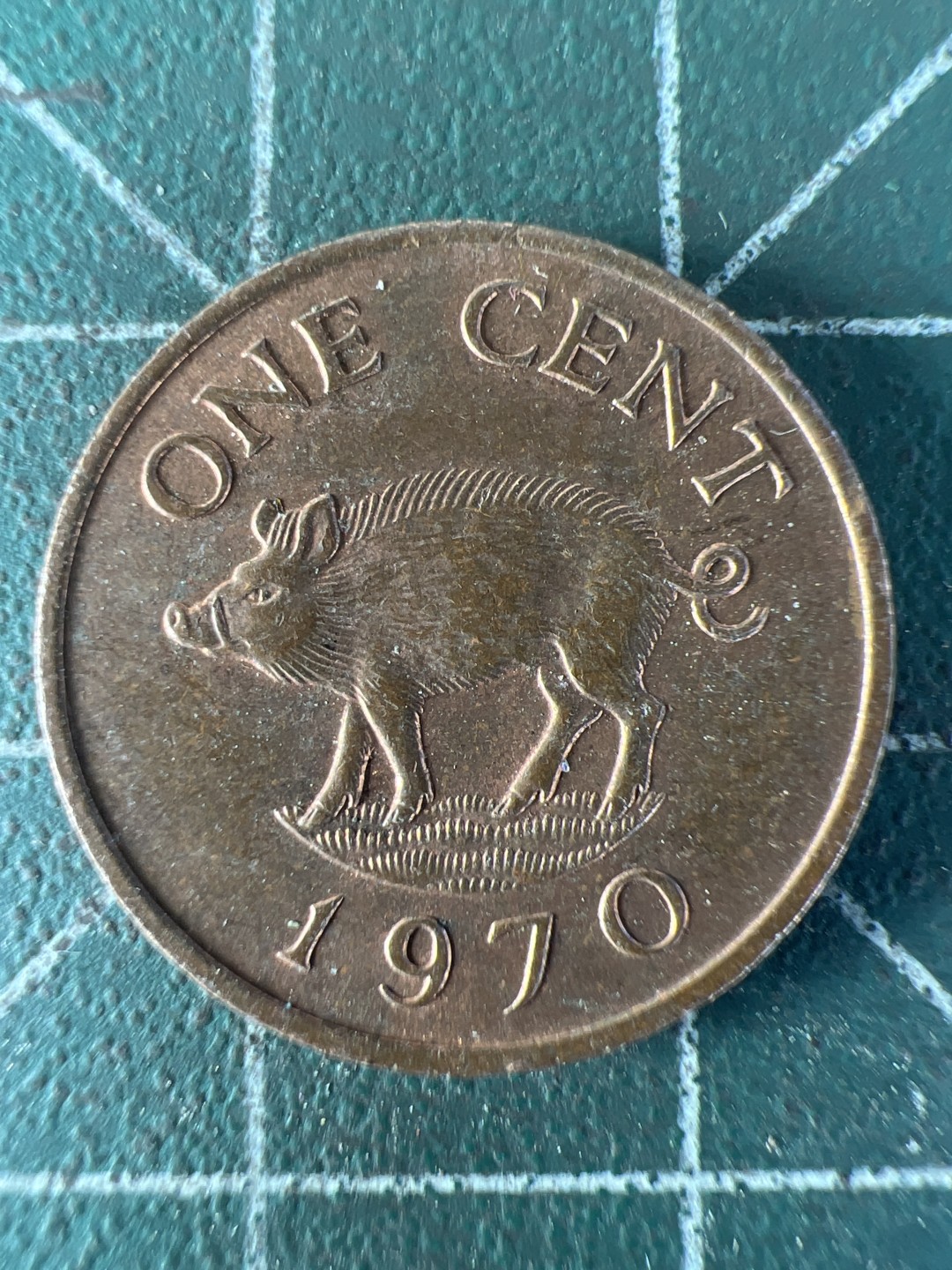 泡泡堂第193期  世界硬币（无押金，无佣金，捡漏，全场20包邮，偏远地区除外） 百慕大小猪