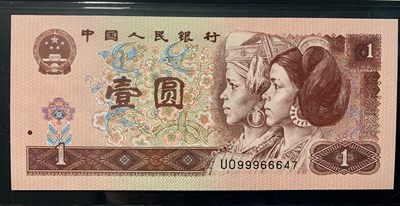 北极狼藏苑社团购专场(59) 0844-第四套人民币·九九生辉·连环豹·关门飞机号·全同号ACG66/67EPQ